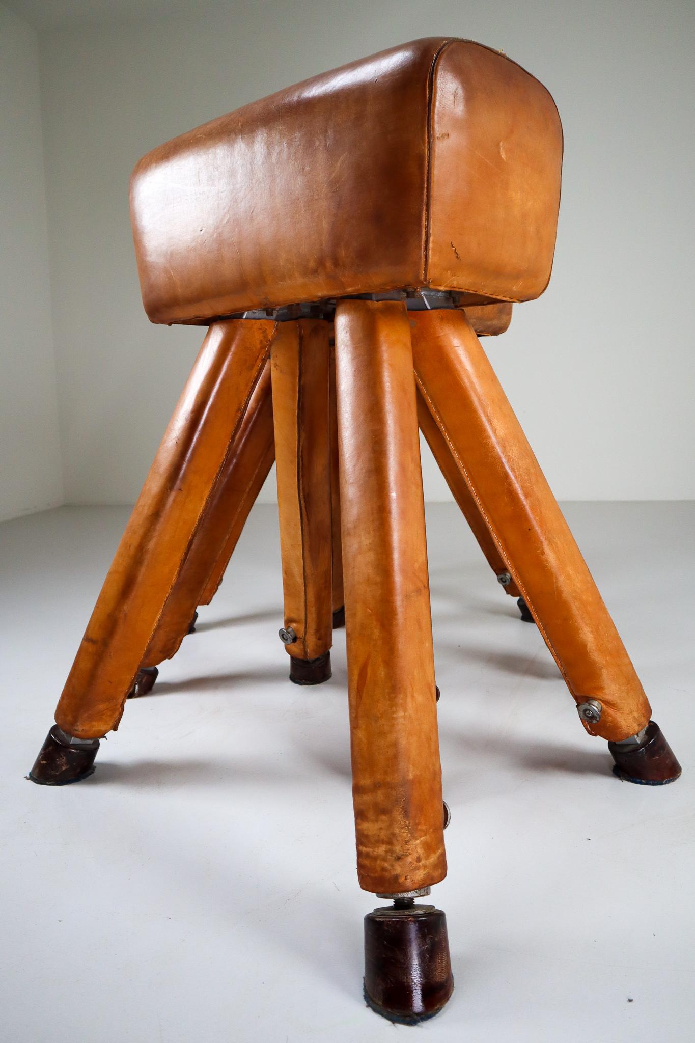 Czech Set of Three Patinated Cognac Leather Covered Beechwood Gym Horses, 1950s