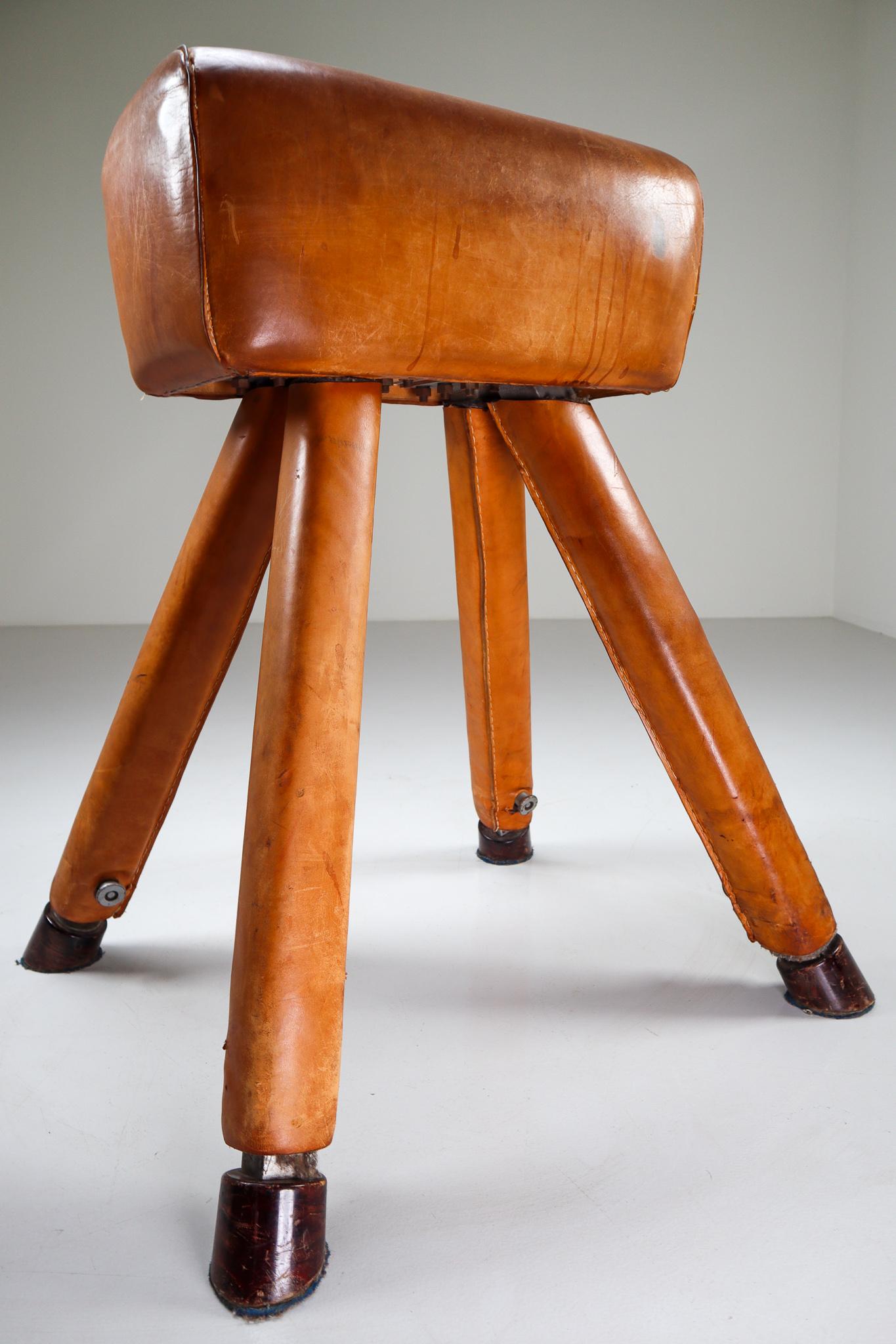 Mid-20th Century Set of Three Patinated Cognac Leather Covered Beechwood Gym Horses, 1950s