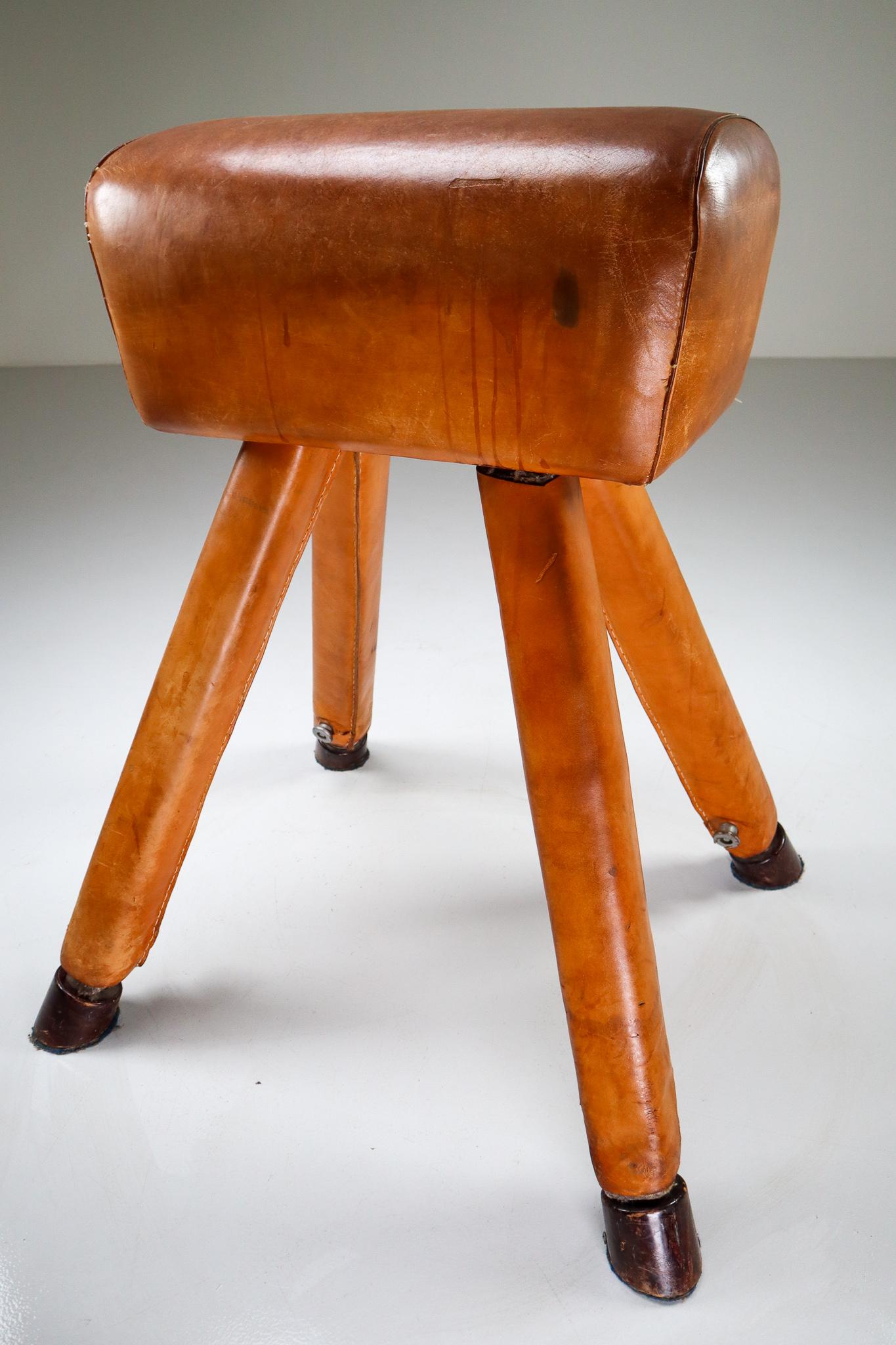 Set of Three Patinated Cognac Leather Covered Beechwood Gym Horses, 1950s 2