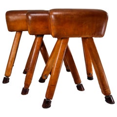 Set of Three Patinated Cognac Leather Covered Beechwood Gym Horses, 1950s