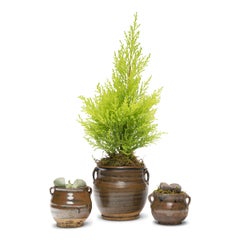 Set of Three Petite Chinese Apothecary Jars, c. 1900