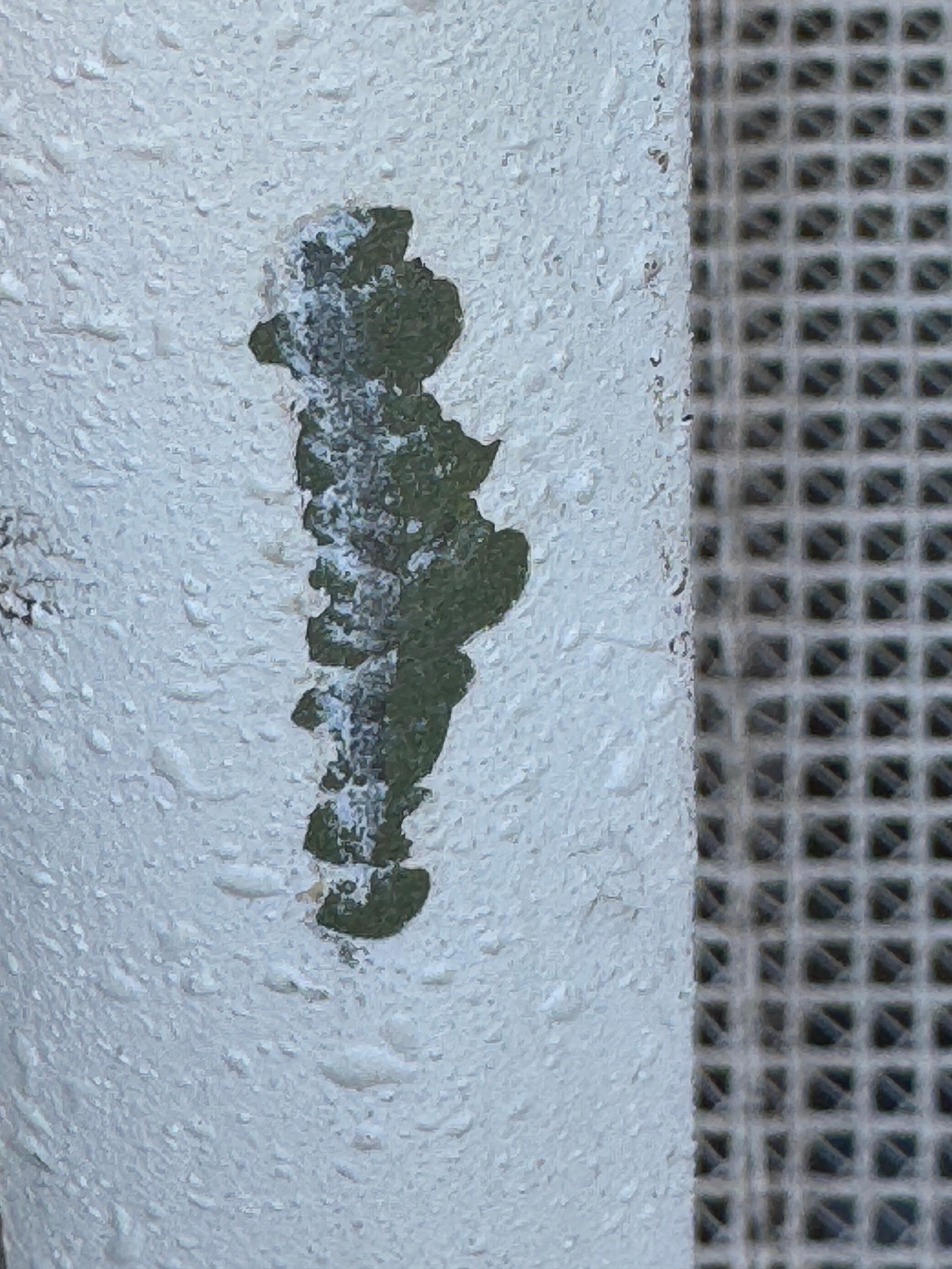 Set of Three Richard Schultz for Knoll 1966 Leisure Group Contour Chaise Lounges For Sale 13