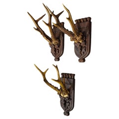 Set of Three Roe Deer Trophies on Carved Oak Wood Plaques