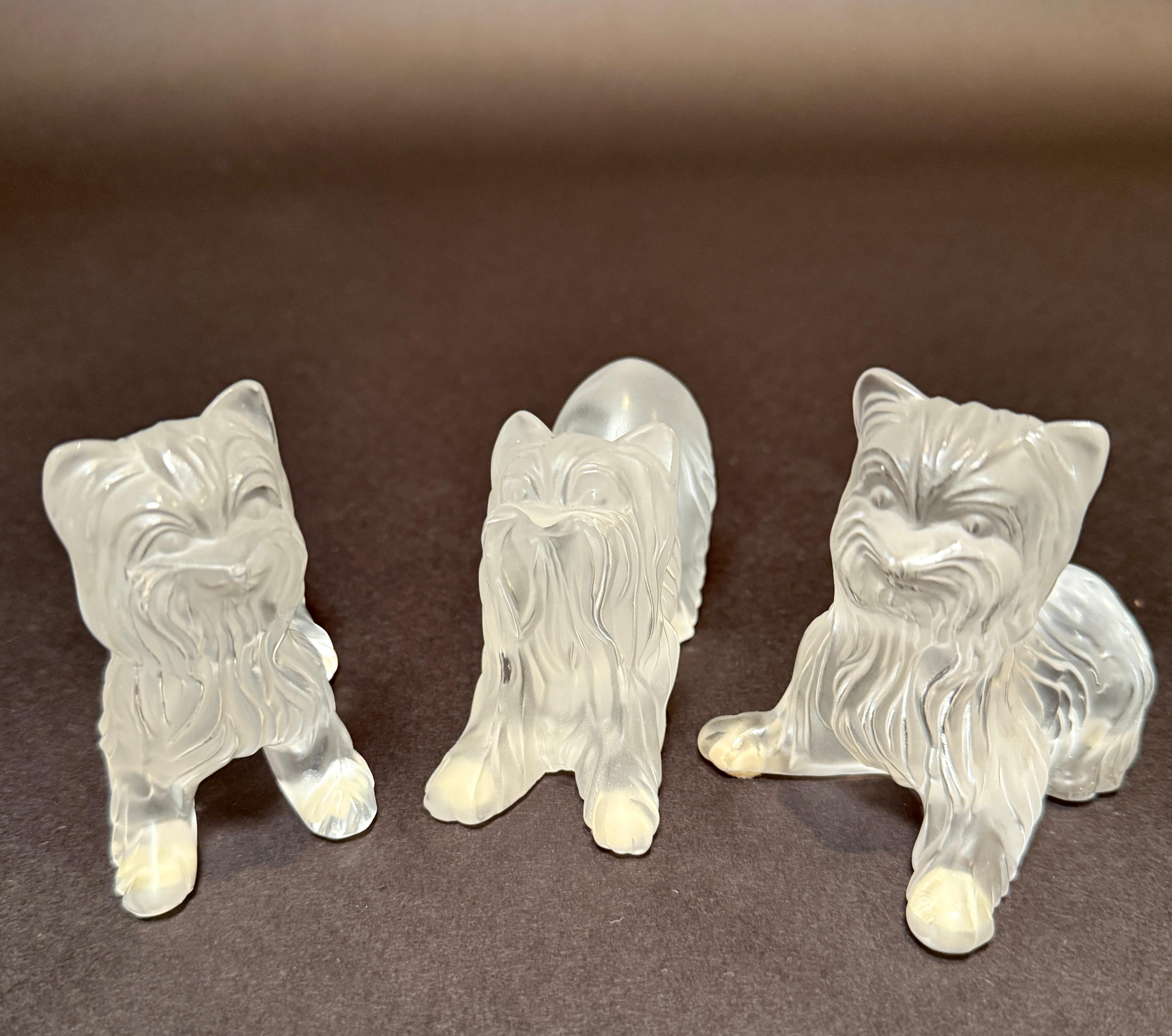Set di tre figurine di Yorkshire Terrier in vetro smerigliato firmate Lalique France In condizioni buone in vendita a Norwood, NJ