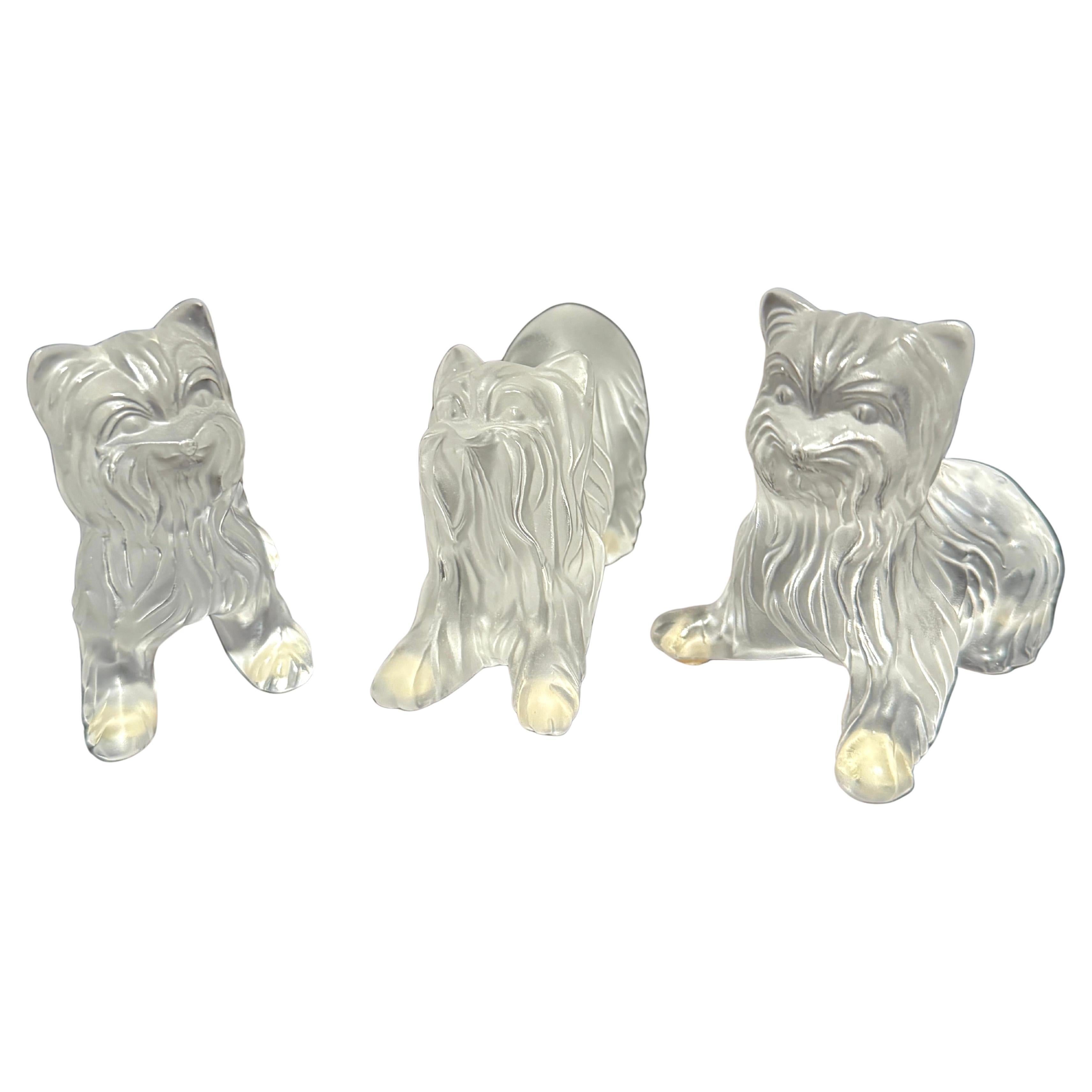 Set di tre figurine di Yorkshire Terrier in vetro smerigliato firmate Lalique France in vendita