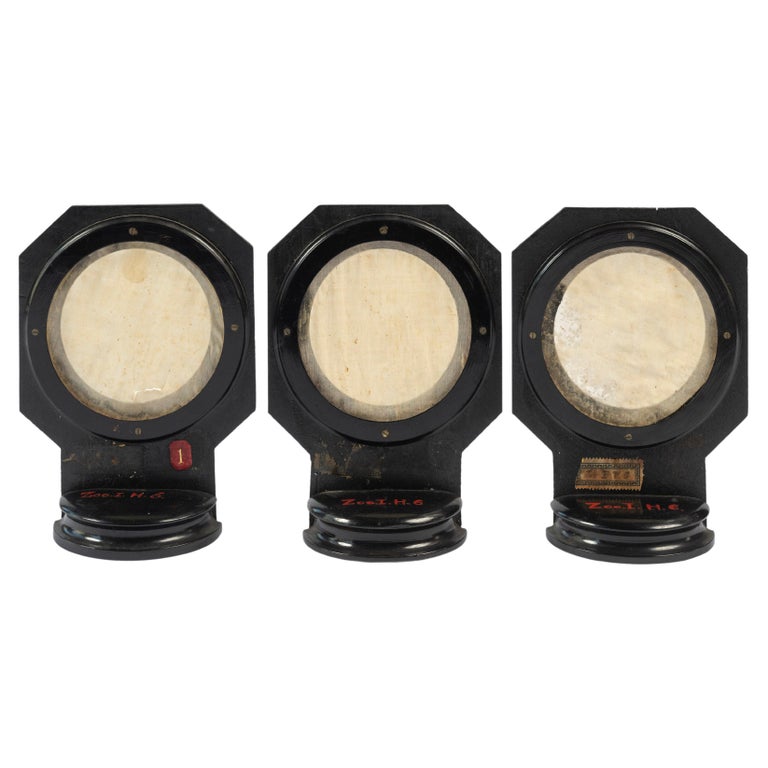 Set of Three Small Antique Standing Frames, Painted Wood For Sale at ...