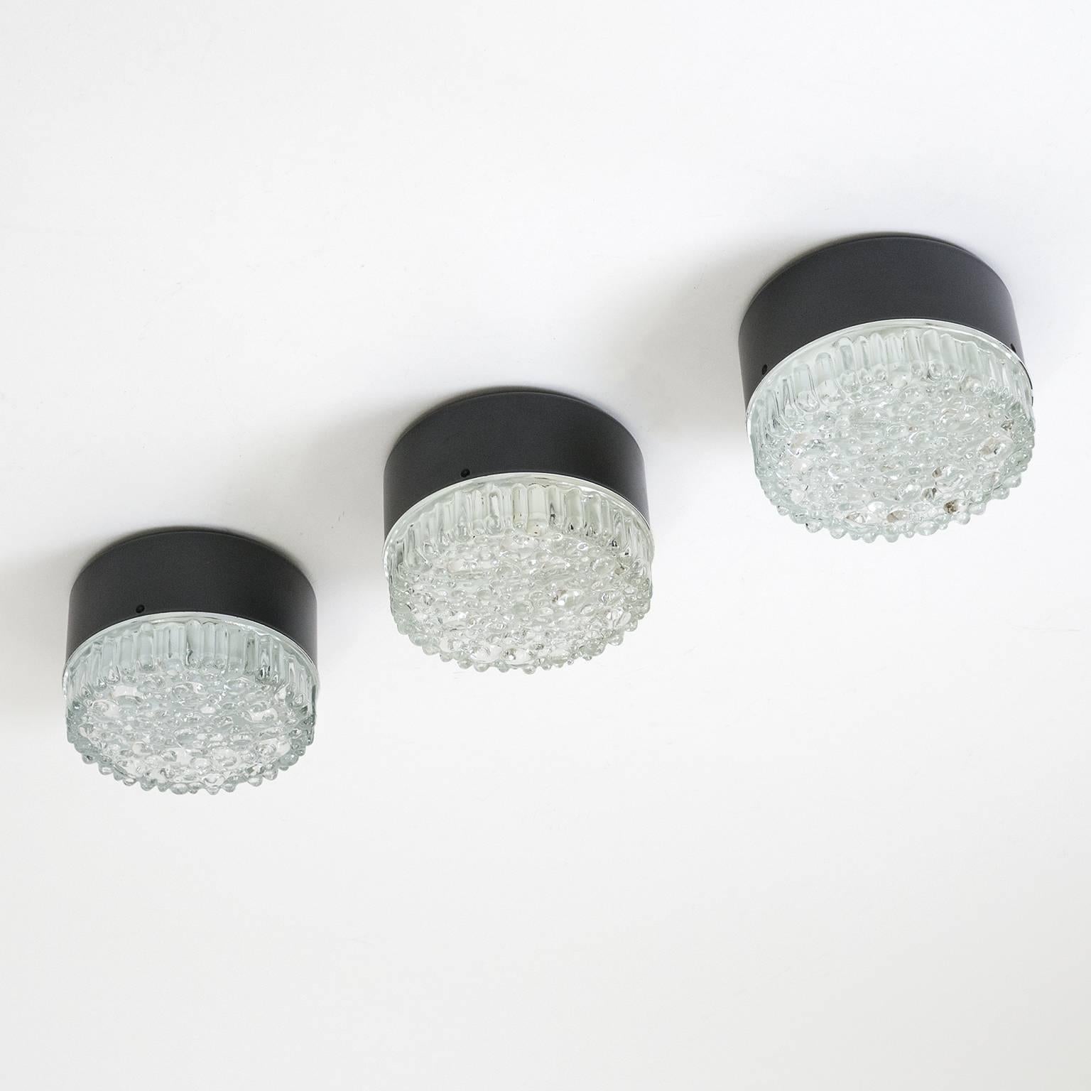 Set of three petite bubble glass flush mounts or wall lights by Staff, 1960s. Heavily textured glass diffuser with 'bubbles' of varying sizes attached to a black lacquered metal base. One E14 socket per light with new wiring.