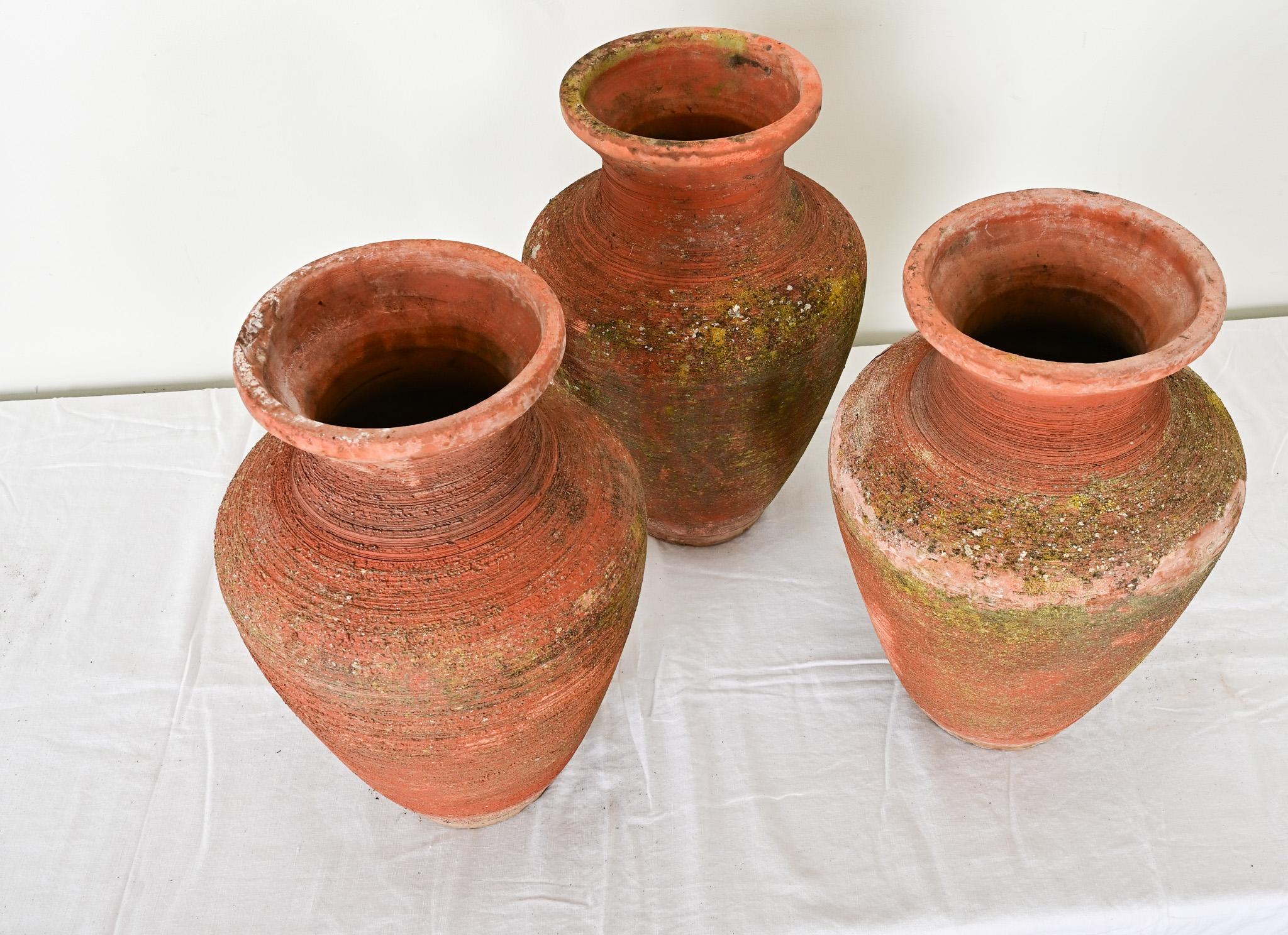 XX secolo Set di tre vasi in terracotta in vendita