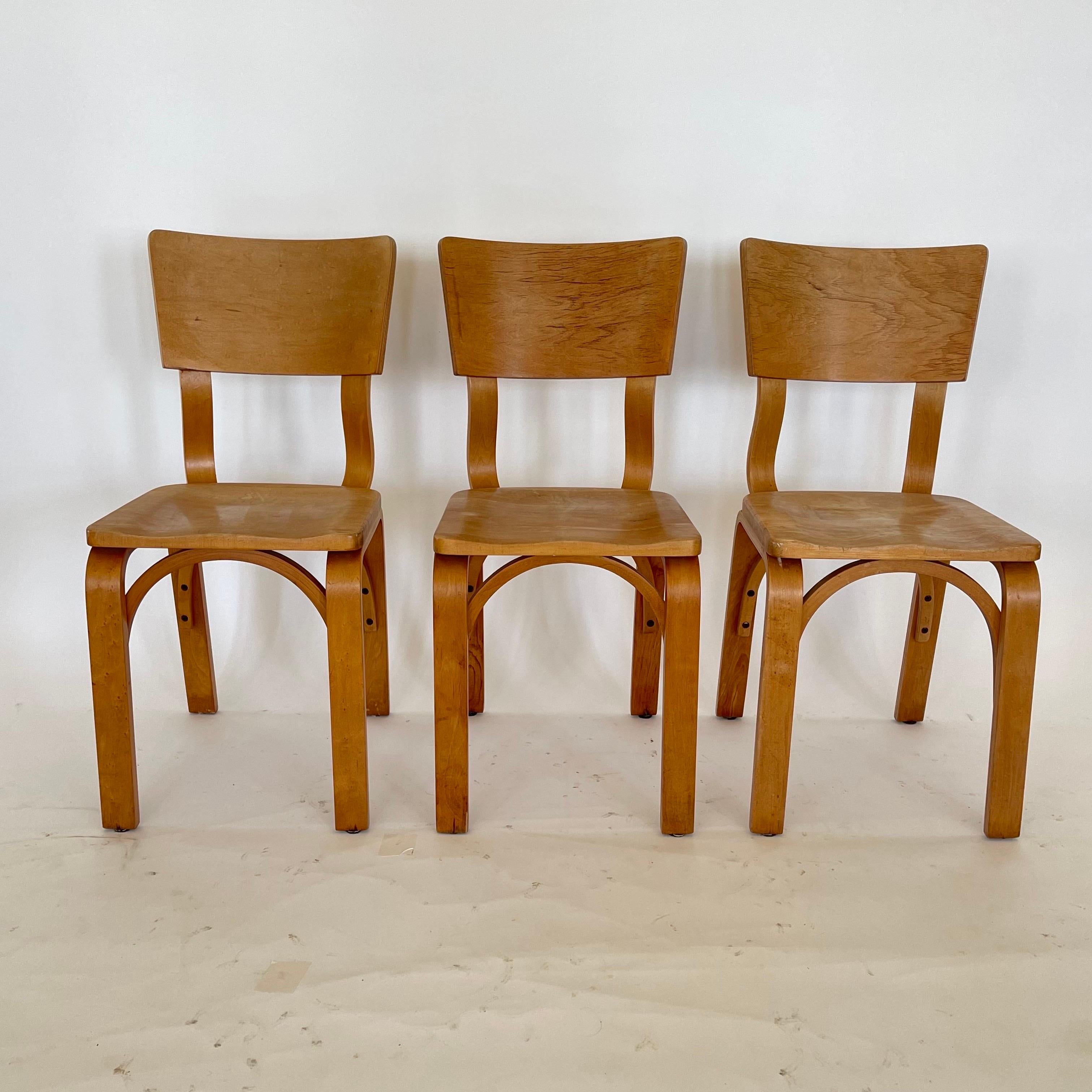 Set di tre sedie da pranzo o laterali Thonet 1216-S17-B1 d'epoca. Realizzata in compensato di quercia curvato a vapore, con un sedile a sella in faggio scolpito e un supporto ad arco anteriore e posteriore curvato come il primo modello. Questo set