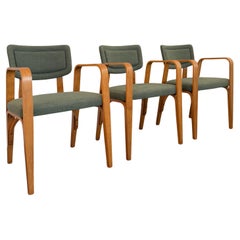 Set di tre sedie imbottite in legno di acero di Thonet