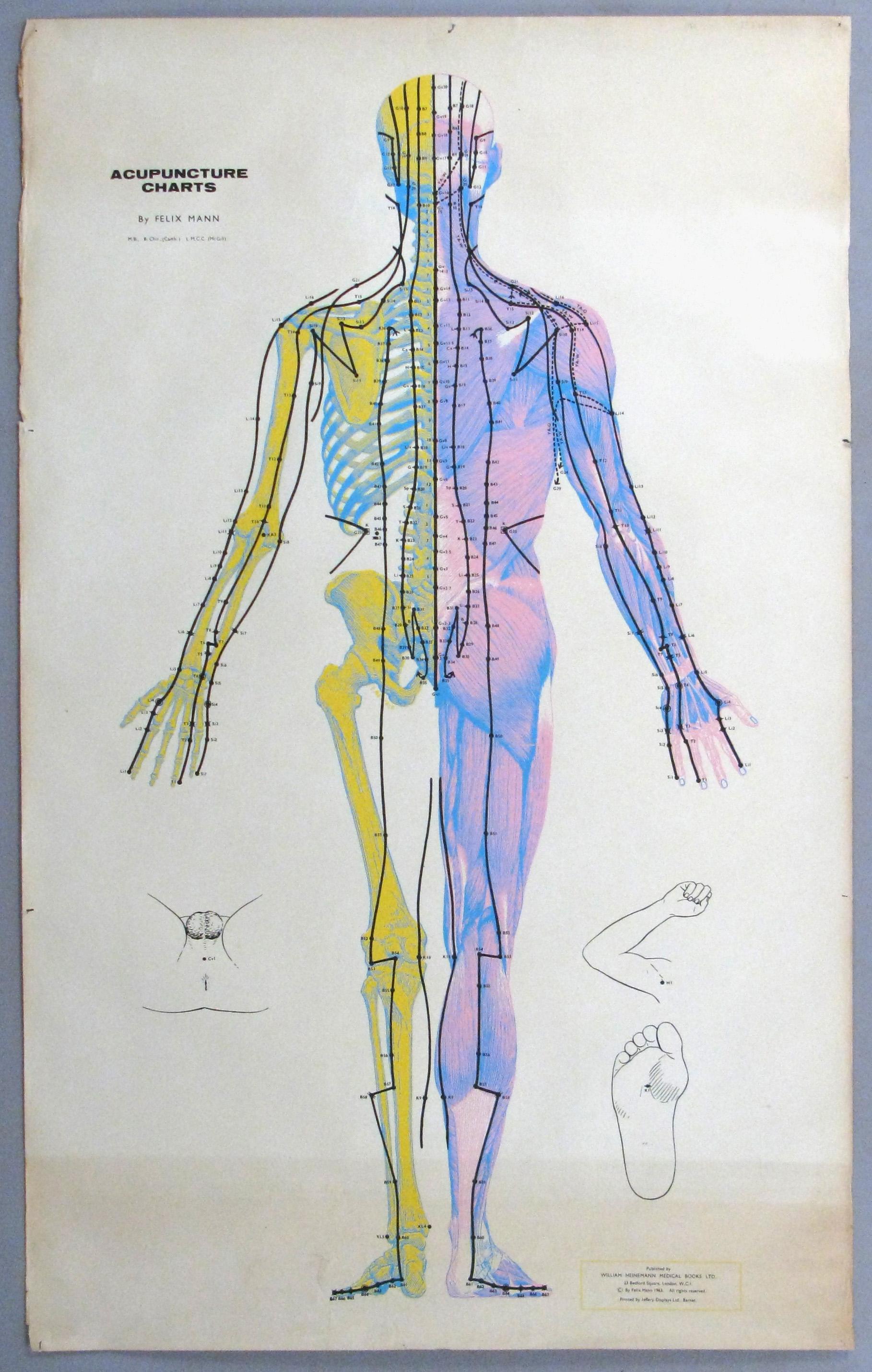 Eine wunderbare Reihe von drei Vintage 1960er Jahre Serigraphien zurück mit Leinen des menschlichen Körpers in verschiedenen Posen mit detaillierten Akupunktur-Diagramme von Felix Mann. Optisch ansprechend und in gutem Zustand mit altersbedingten
