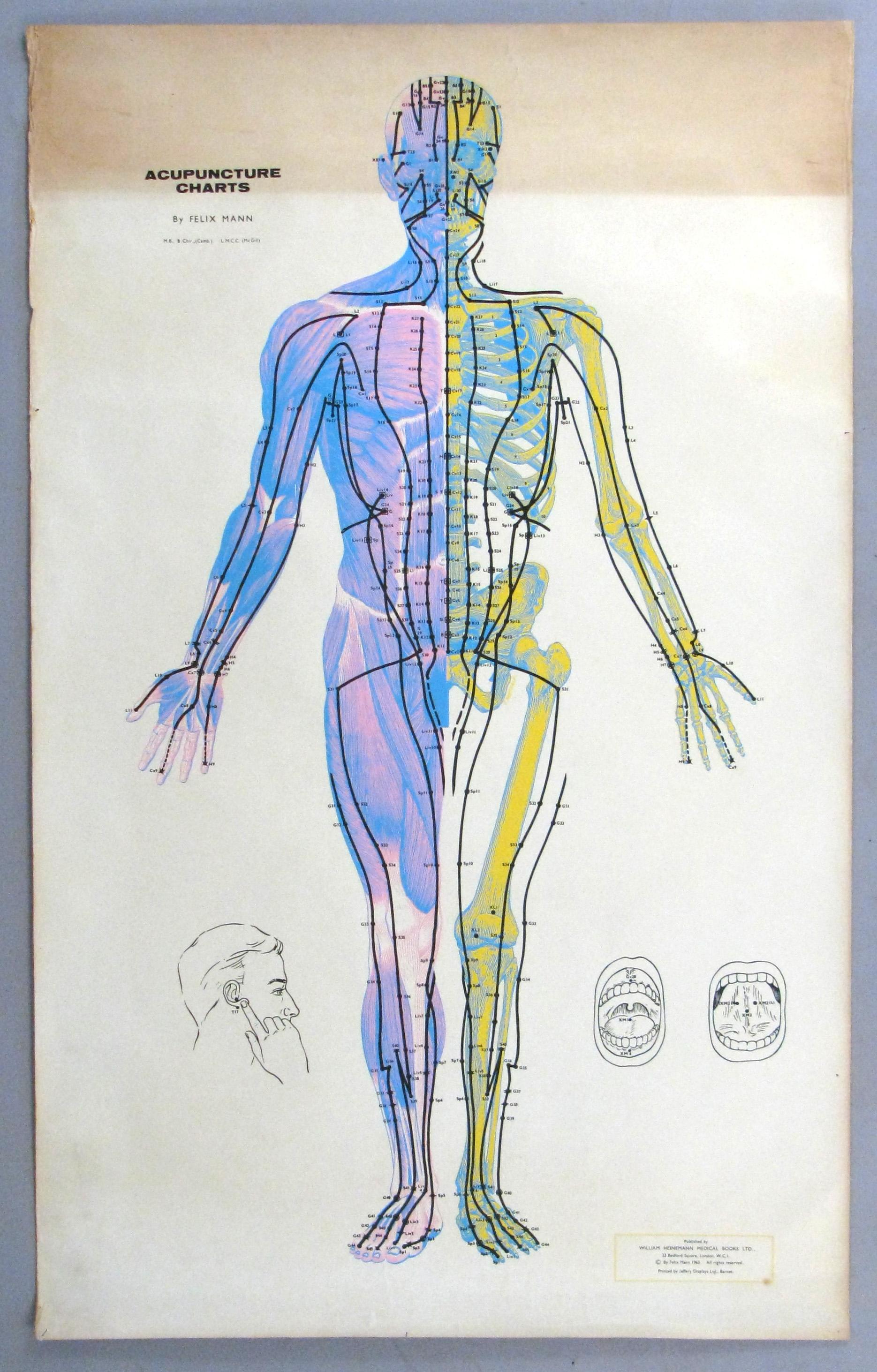 Set of Three Vintage Acupuncture Serigraphs on Linen by Felix Mann In Good Condition For Sale In Hudson, NY