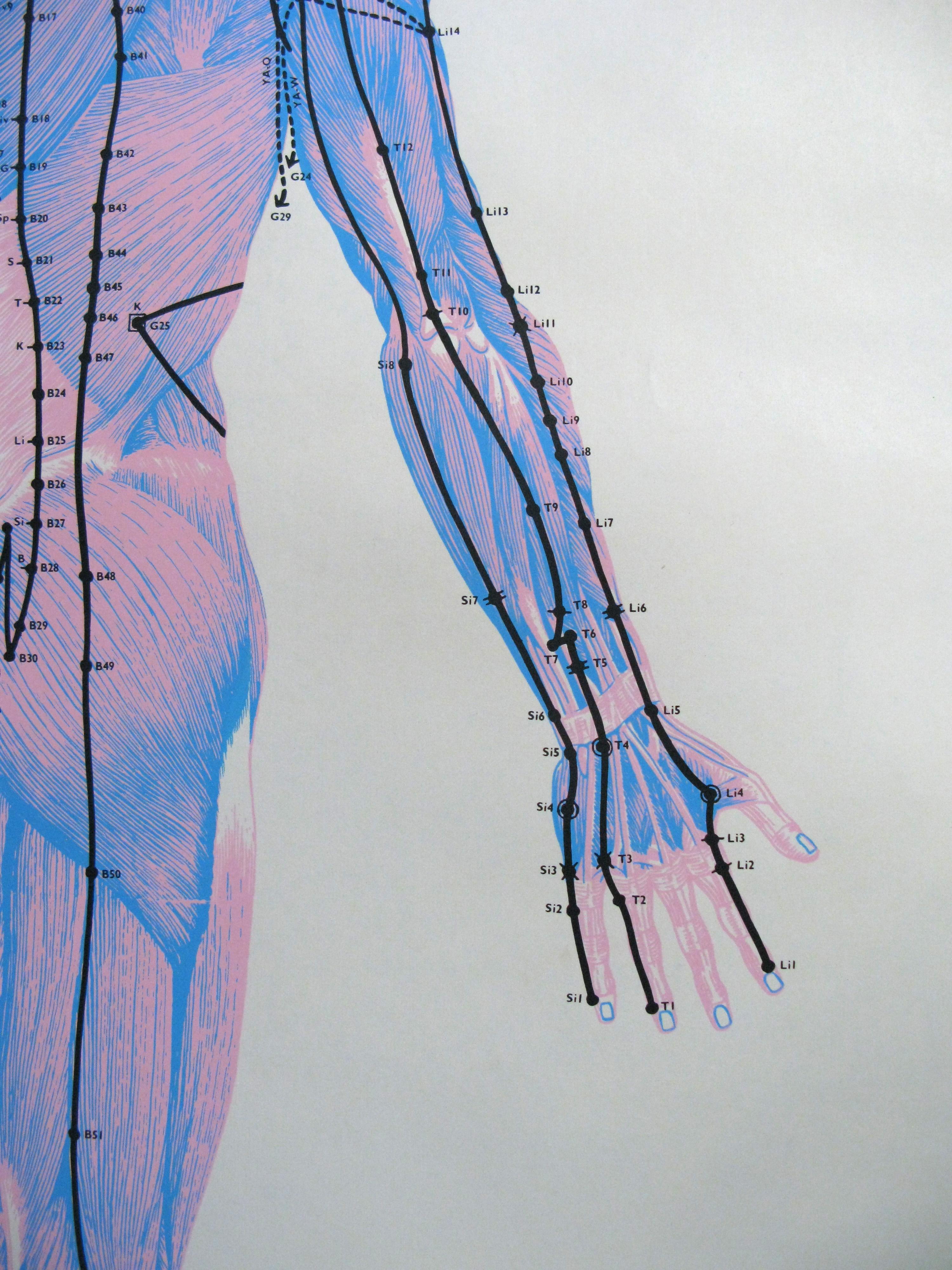 Set von drei Vintage-Acupuncture- Serigrafien auf Leinen von Felix Mann im Angebot 2