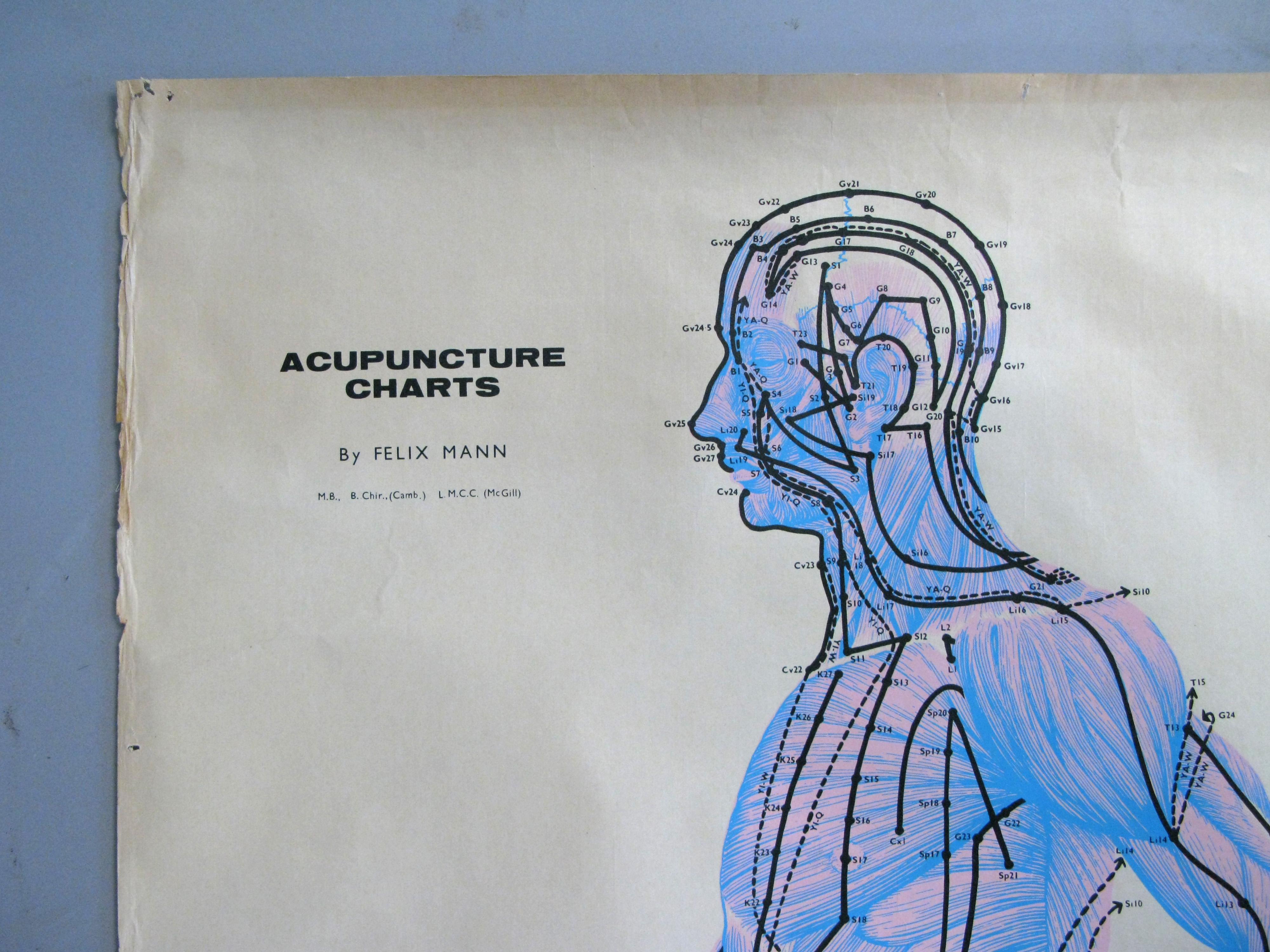 Set of Three Vintage Acupuncture Serigraphs on Linen by Felix Mann For Sale 3