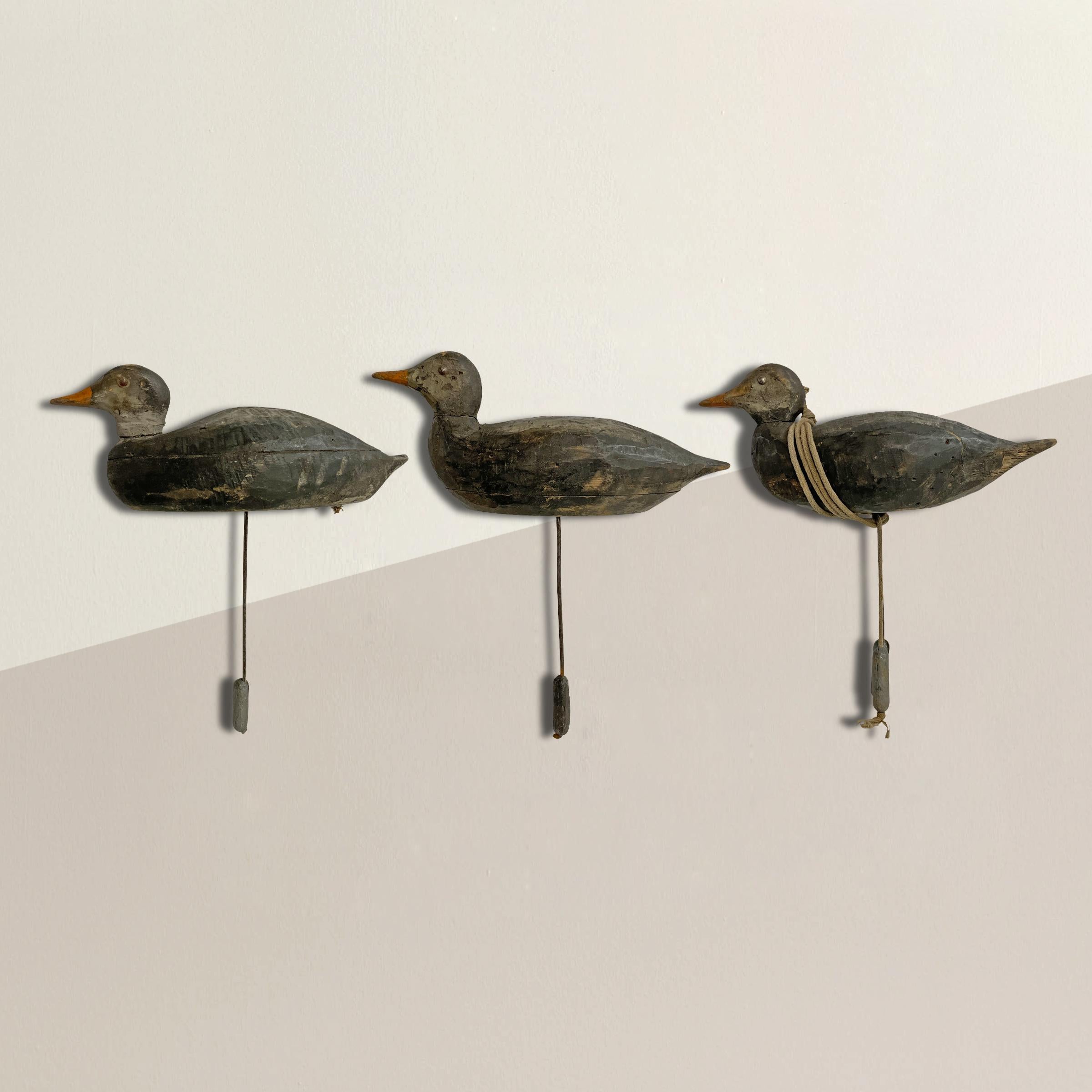 A set of three charing early 20th century American hand-carved wood duck decoys with their original lead weights, one with the rope still wrapped around it, and all with custom wall mounts so they can be displayed facing right or left.