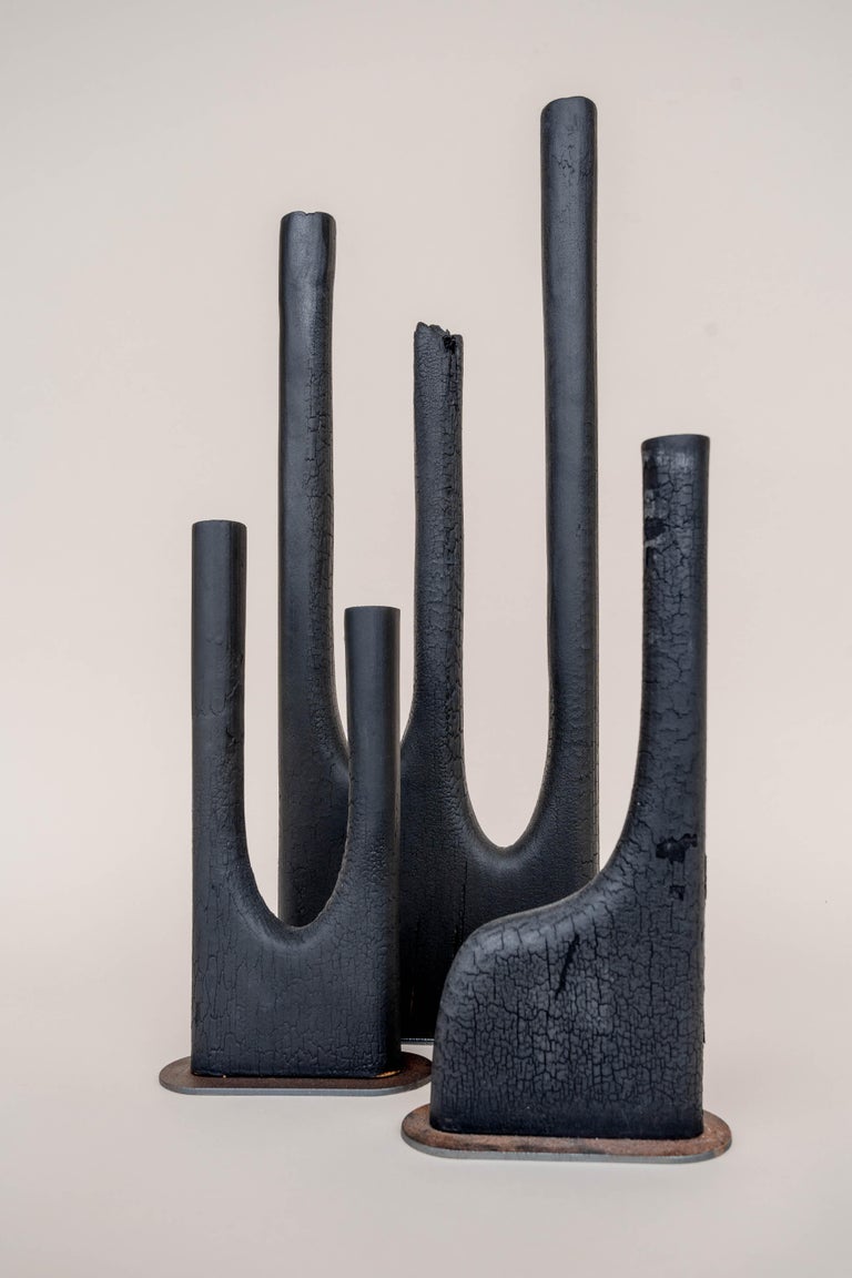 Beech Set of Trio Vase and Dou Vase by Daniel Elkayam