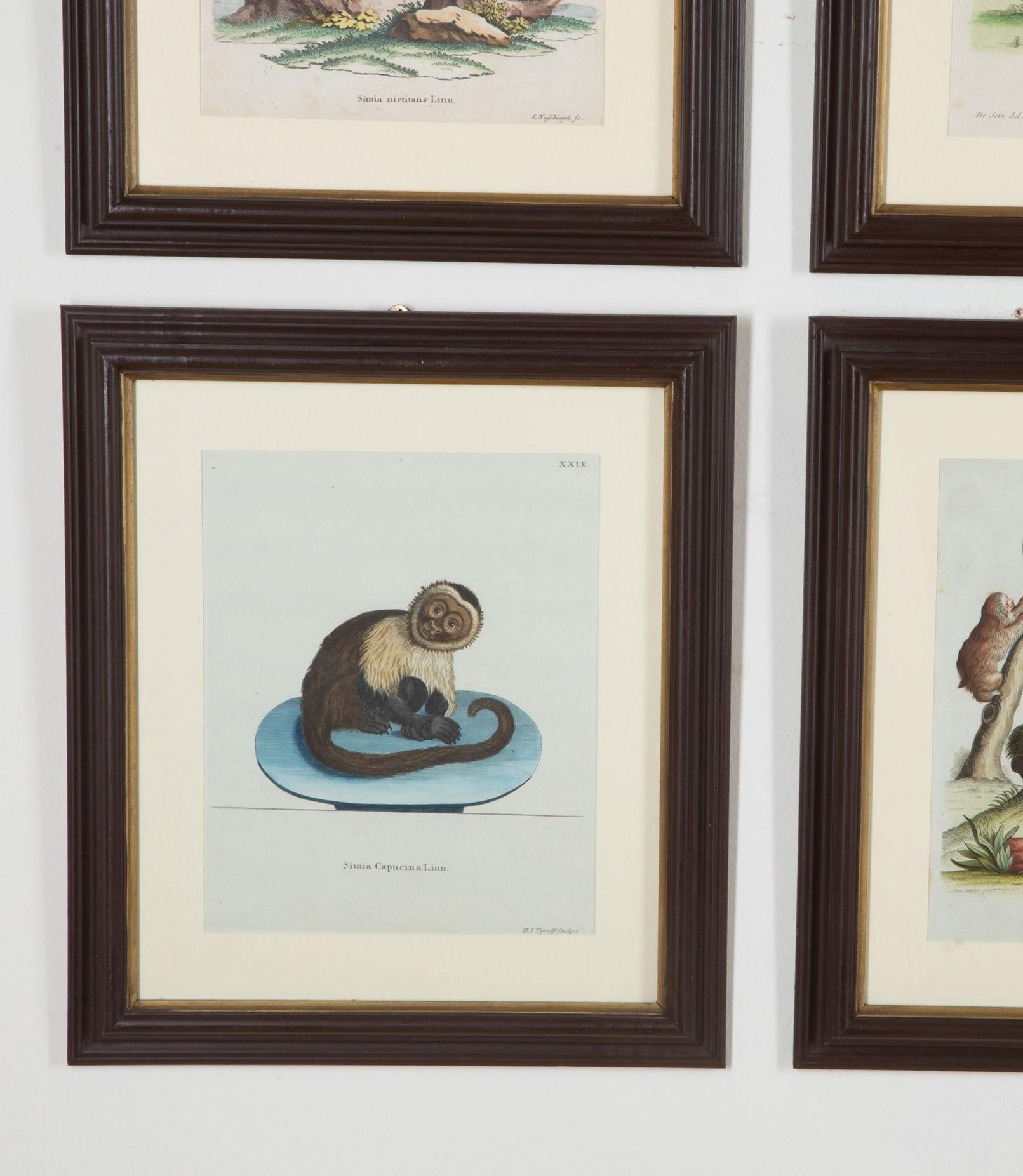 Other Set of Twelve 18th Century Zoological Engravings For Sale