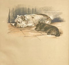 Set of Twelve 1930s Framed Lucy Dawson Dog Prints