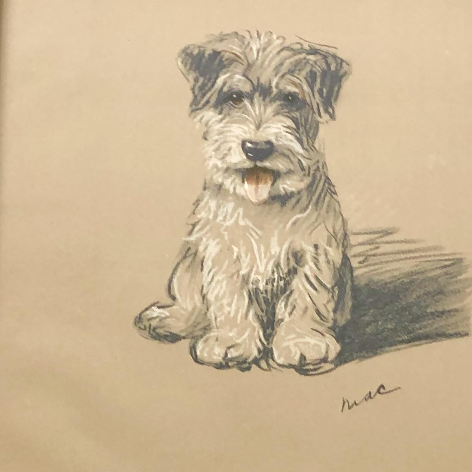 English Set of Twelve 1930s Framed Lucy Dawson Dog Prints