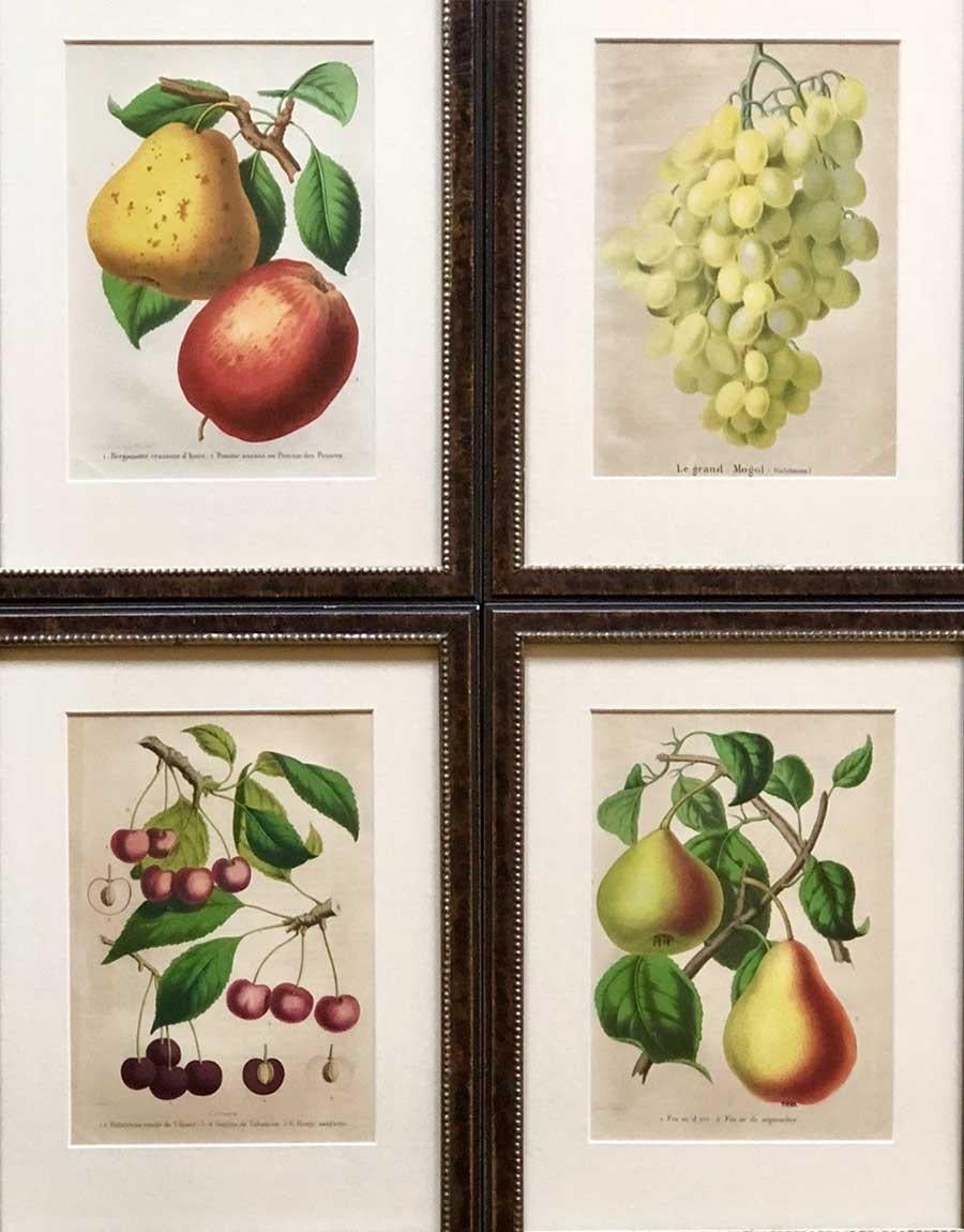 Belgian Set of Twelve 19th Century Chromolithographs of Fruits