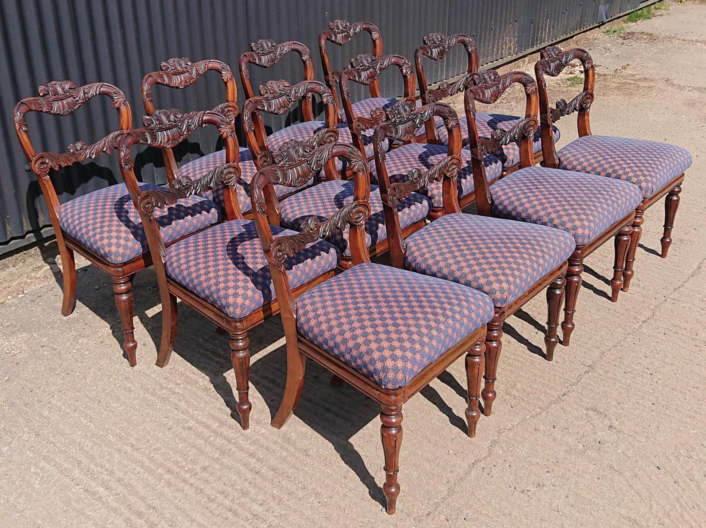 William IV Set of Twelve 19th Century Dining Chairs in Goncales Alves by Gillow For Sale