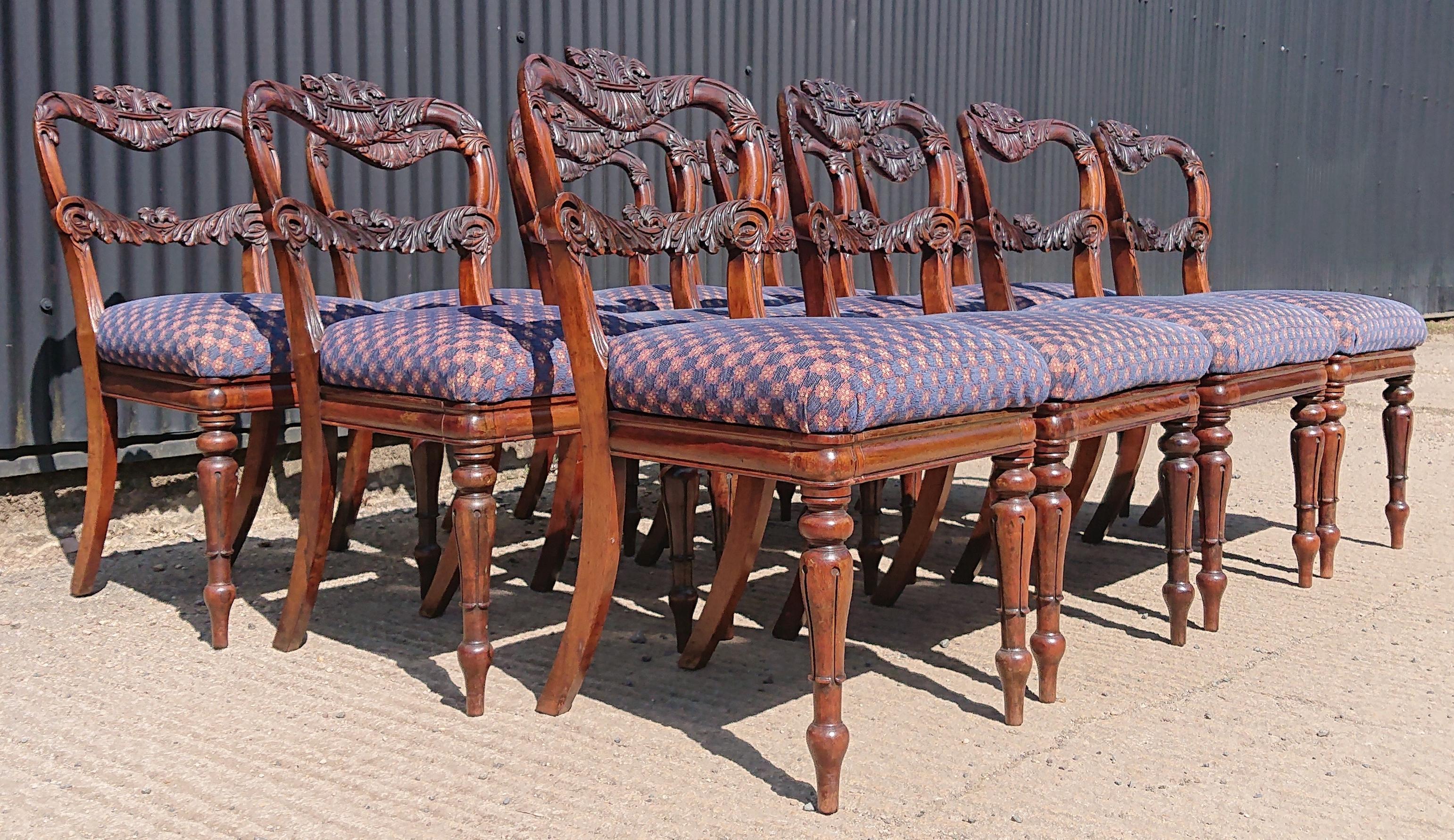 Set of Twelve 19th Century Dining Chairs in Goncales Alves by Gillow In Fair Condition For Sale In Gloucestershire, GB