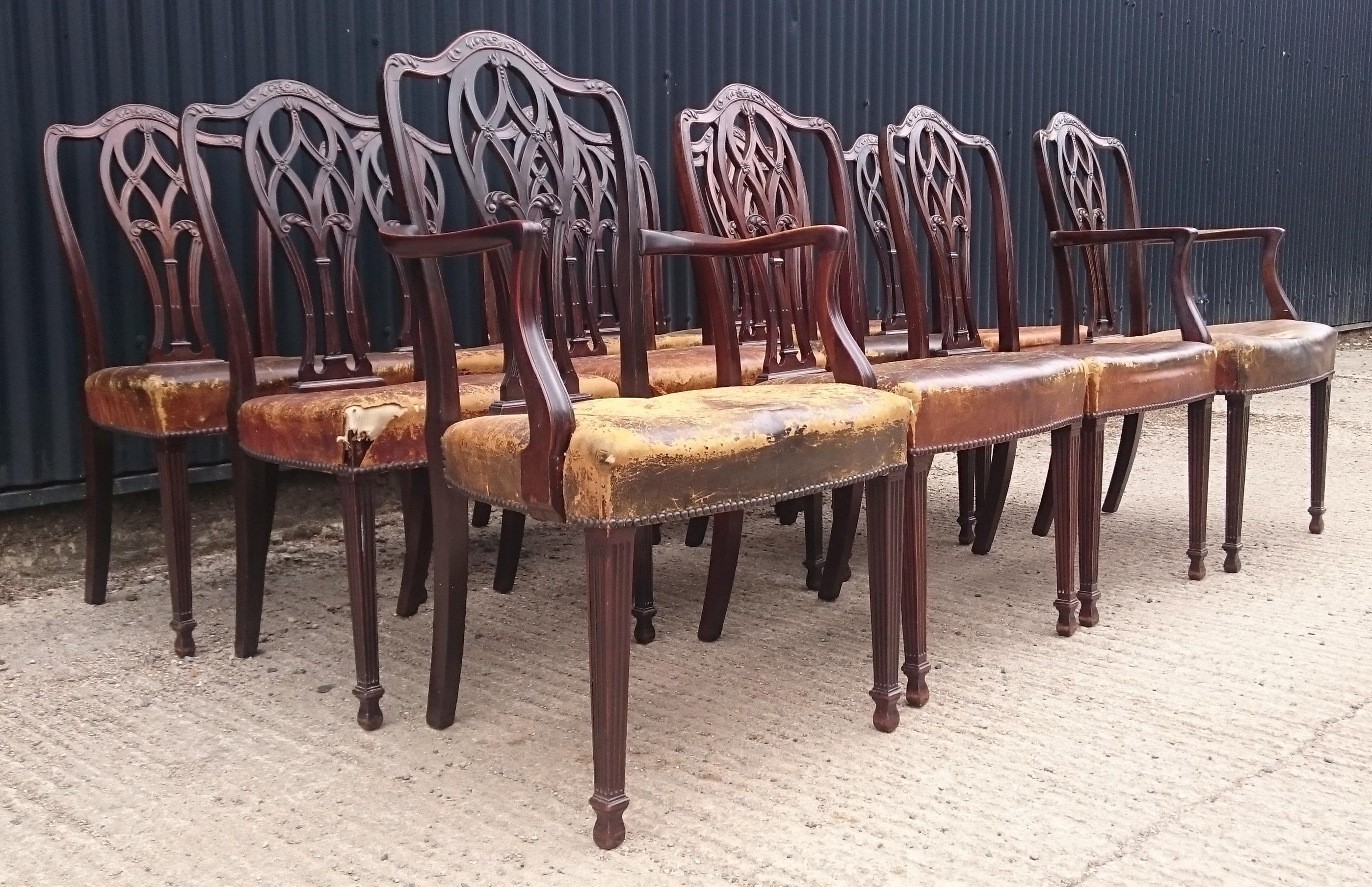 British Set of Twelve 19th Century English Antique Dining Chairs For Sale