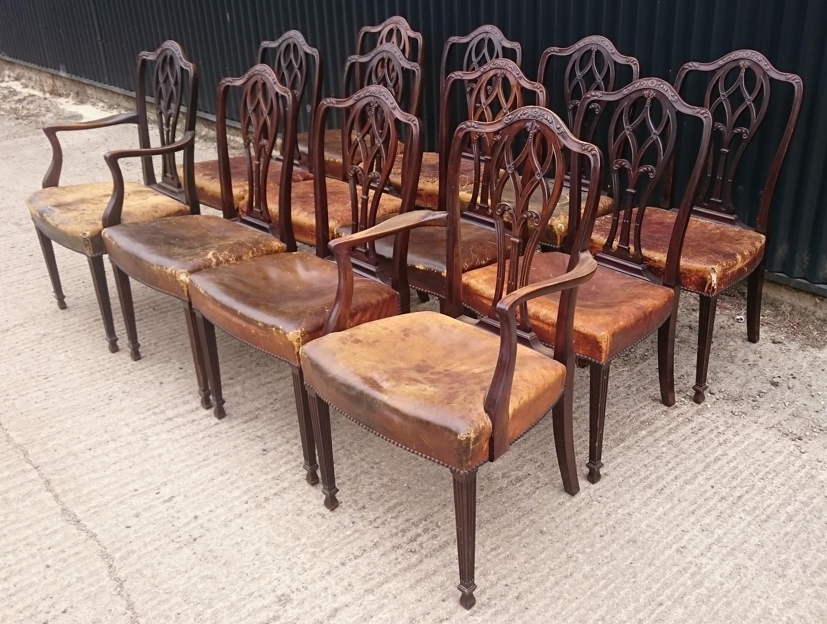 Set of Twelve 19th Century English Antique Dining Chairs In Good Condition For Sale In Gloucestershire, GB
