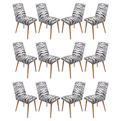 Set of Twelve 20th Century Black and White Zebra Velvet Chairs, Europe, 1960s