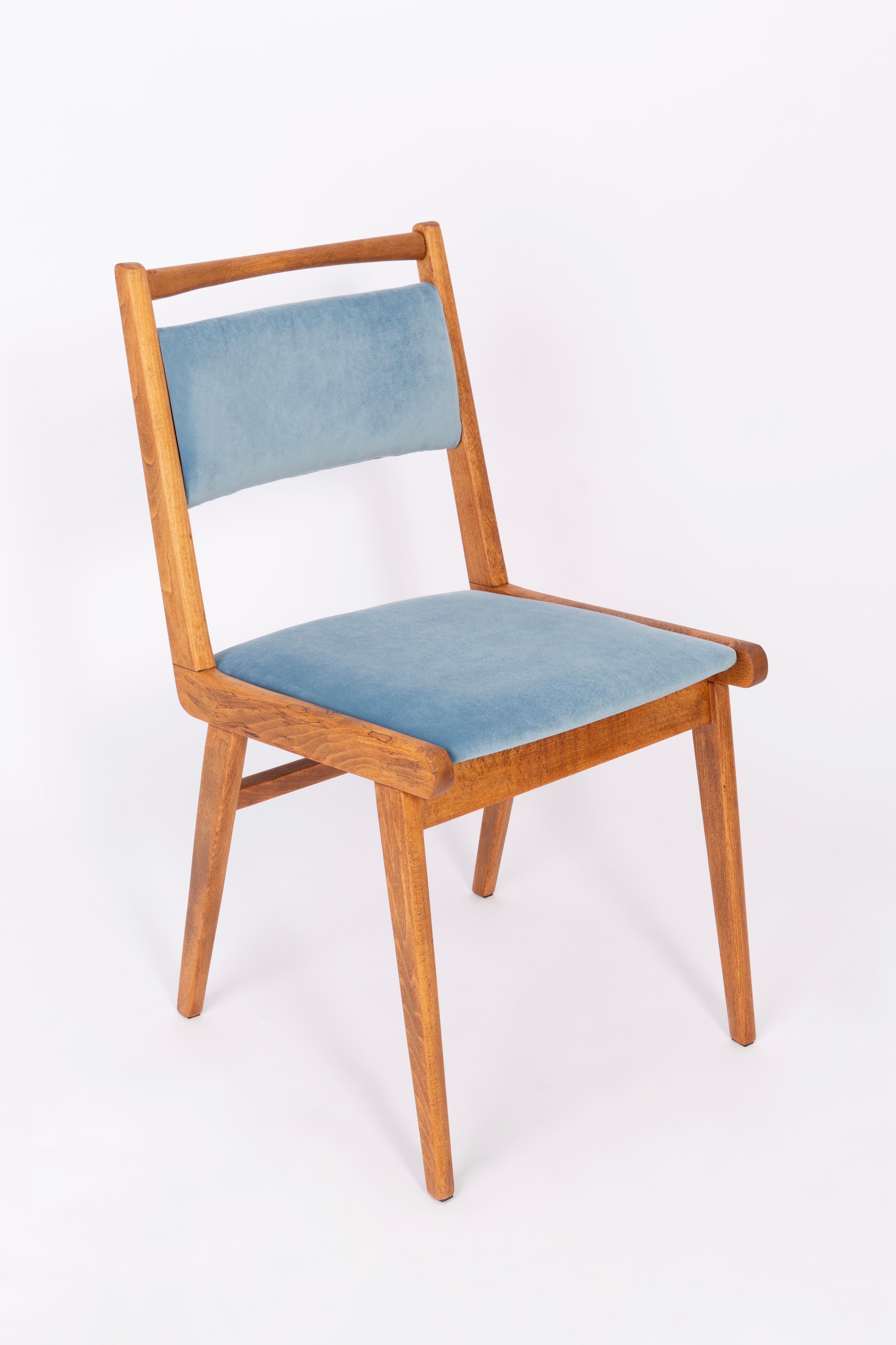 Chaises conçues par le professeur Rajmund Halas. C'est un modèle de type jar. Fabriqué en bois de hêtre. Les chaises ont été entièrement rénovées et les boiseries ont été rafraîchies. L'assise et le dossier sont habillés d'un tissu velours bleu