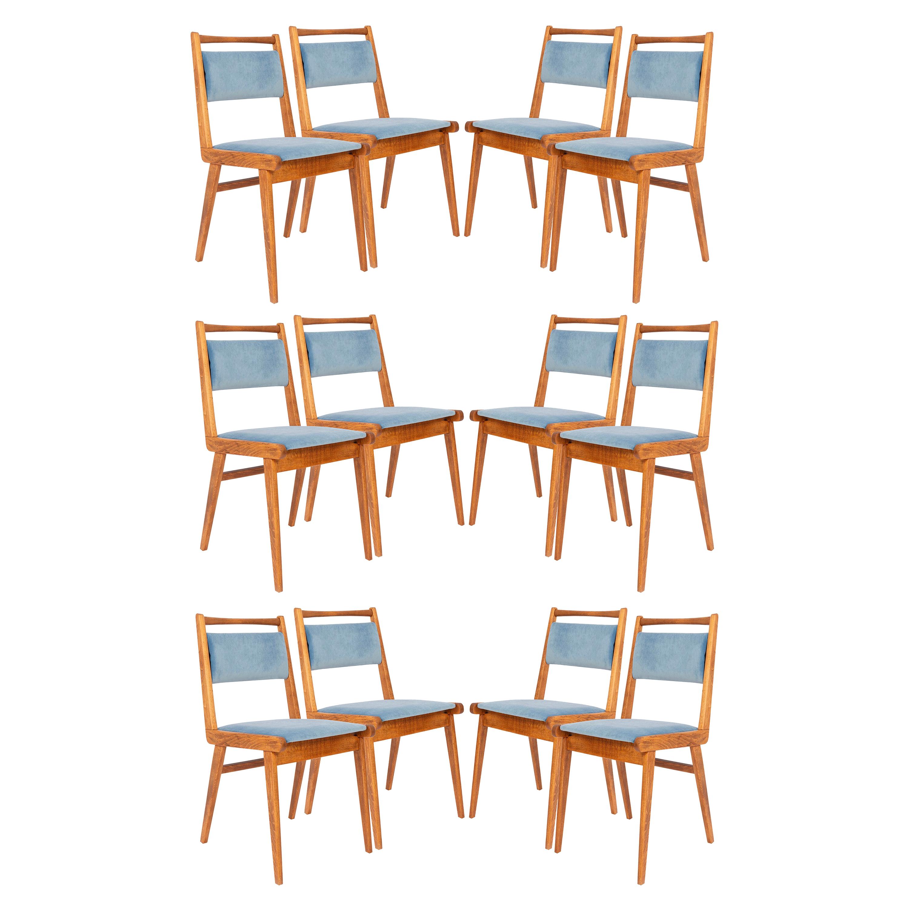 Ensemble de douze chaises en velours bleu du XXe siècle, Pologne, années 1960 en vente