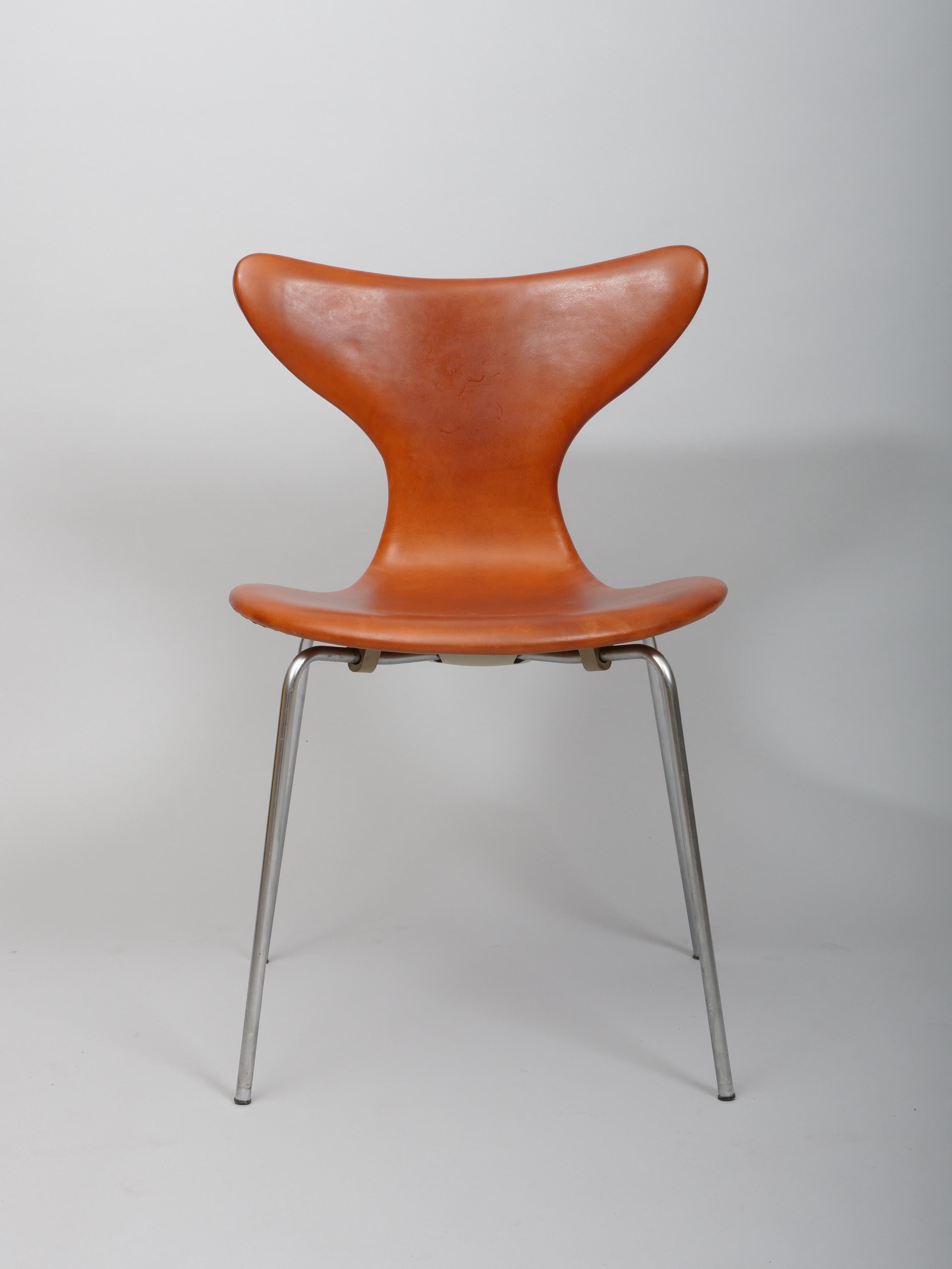 Set of 12 'Lily' chairs with lovely patina. 

The 'Lily' chair has the most striking contrast between the wide back and the narrow waist. The flowing lines inspired the chair’s name. 

The design was launched in 1969. One of Arne Jacobson's most