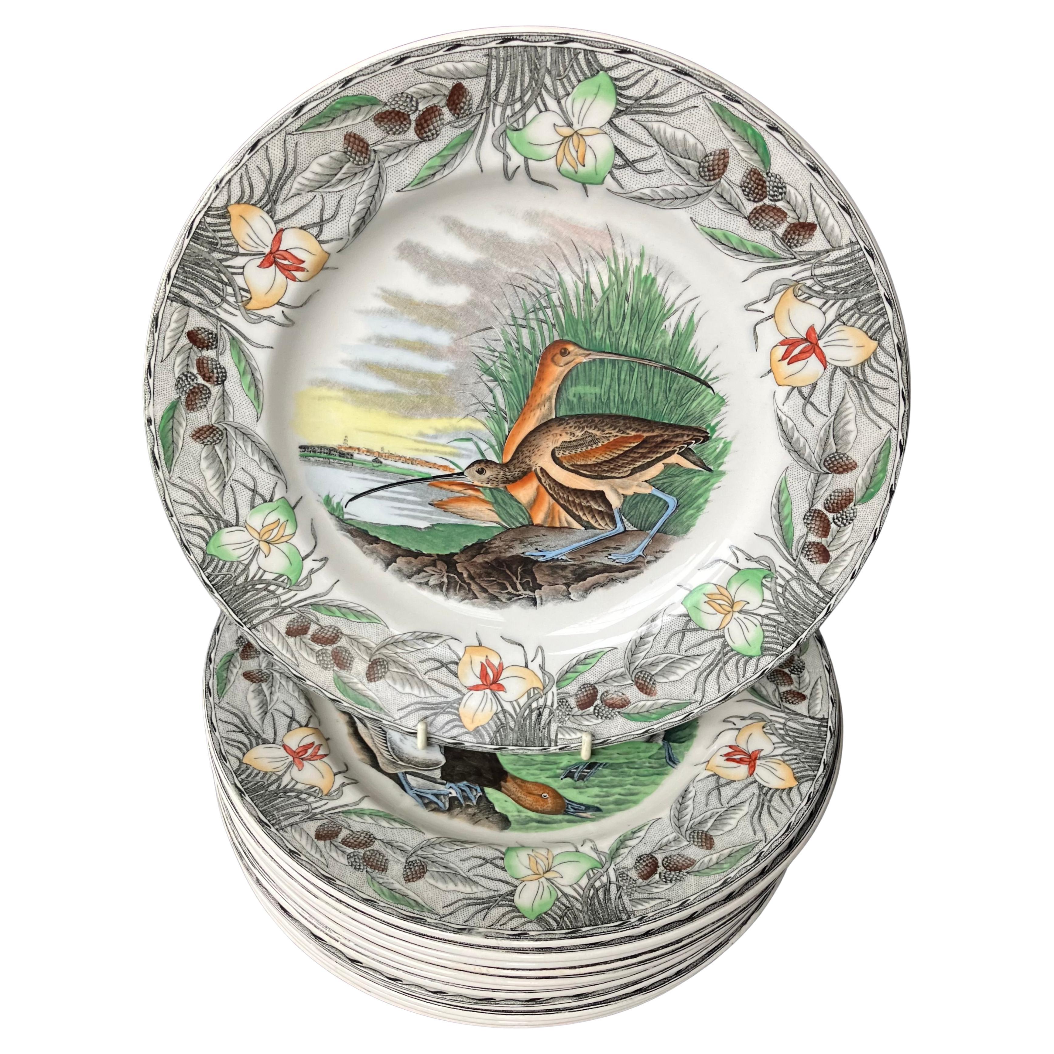 Set of Twelve Audubon Birds of America Plates For Sale