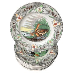 Set of Twelve Audubon Birds of America Plates