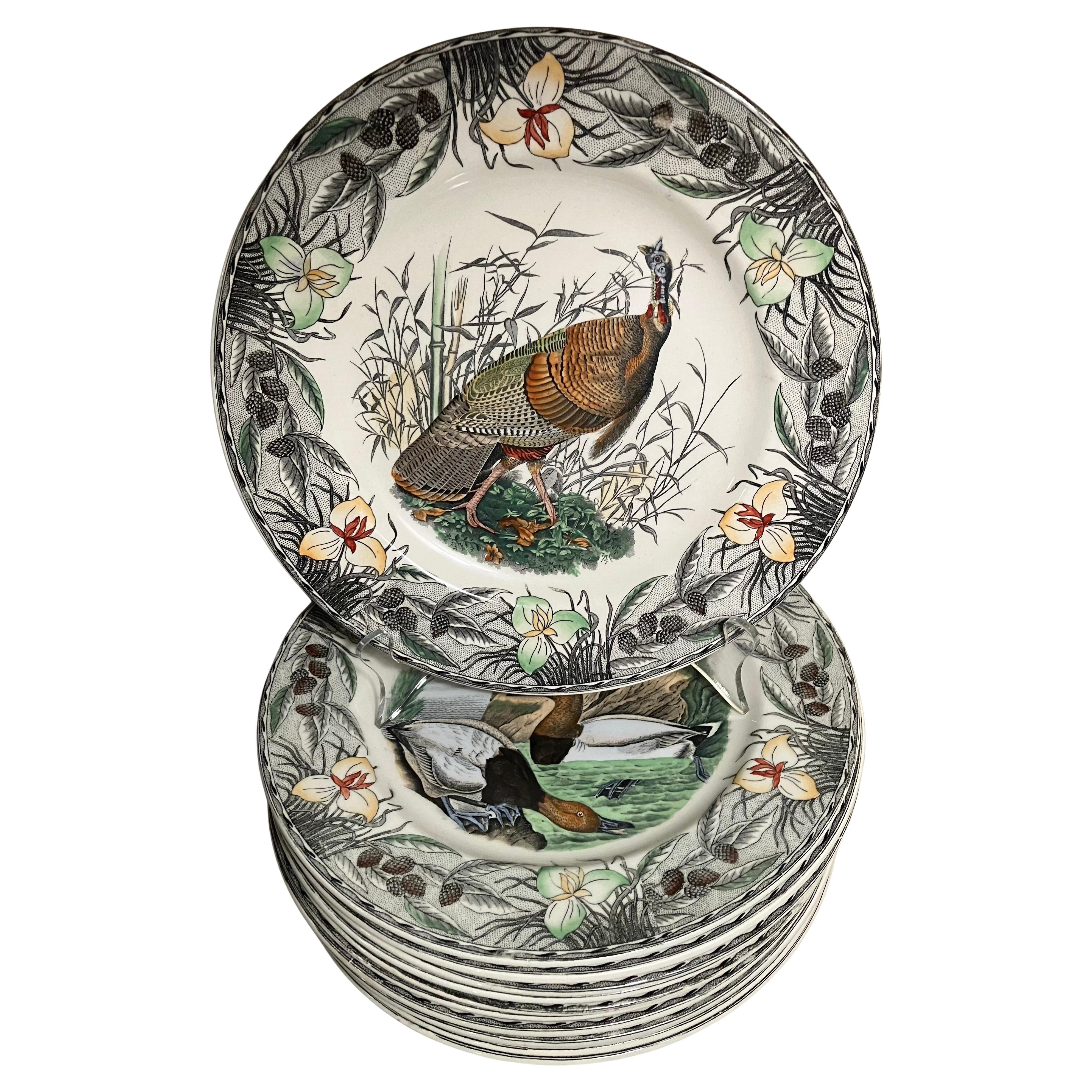 Satz von zwölf Audubon Vögel von Amerika Thanksgiving-Platten