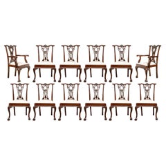 Satz von zwölf geschnitzten Mahagoni-Esszimmerstühlen im georgianischen Stil