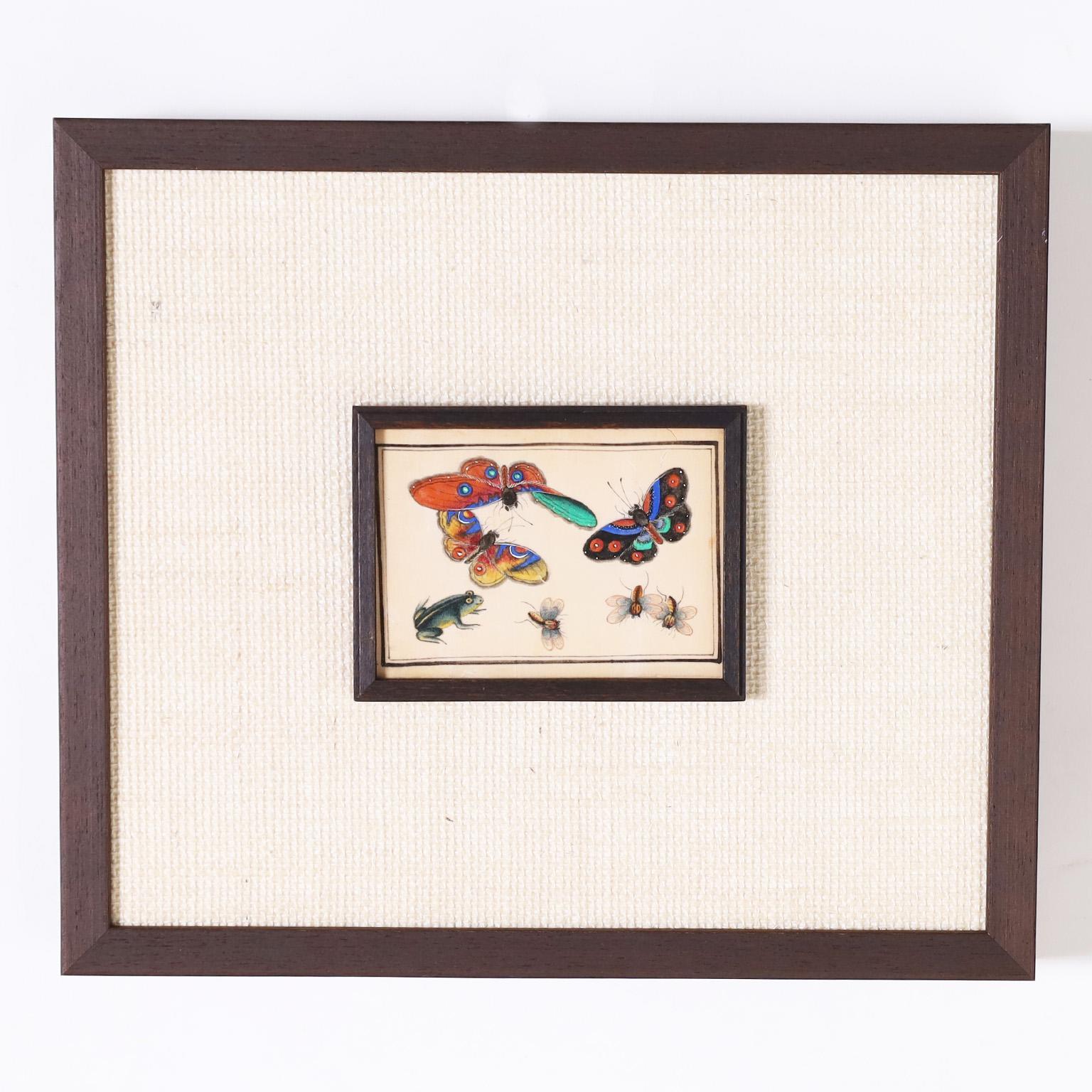 Rare et remarquable ensemble de douze aquarelles chinoises du XIXe siècle sur papier à moelle, représentant des espèces de papillons de nuit et d'autres insectes, exécutées dans des couleurs vives et glorieuses. Présenté sous verre dans un cadre à
