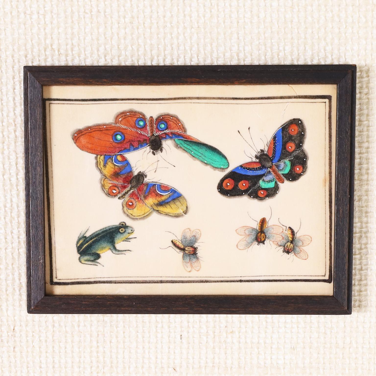 Chinoiserie Set of Twelve Chinese Watercolors on Pith Paper of Insects For Sale