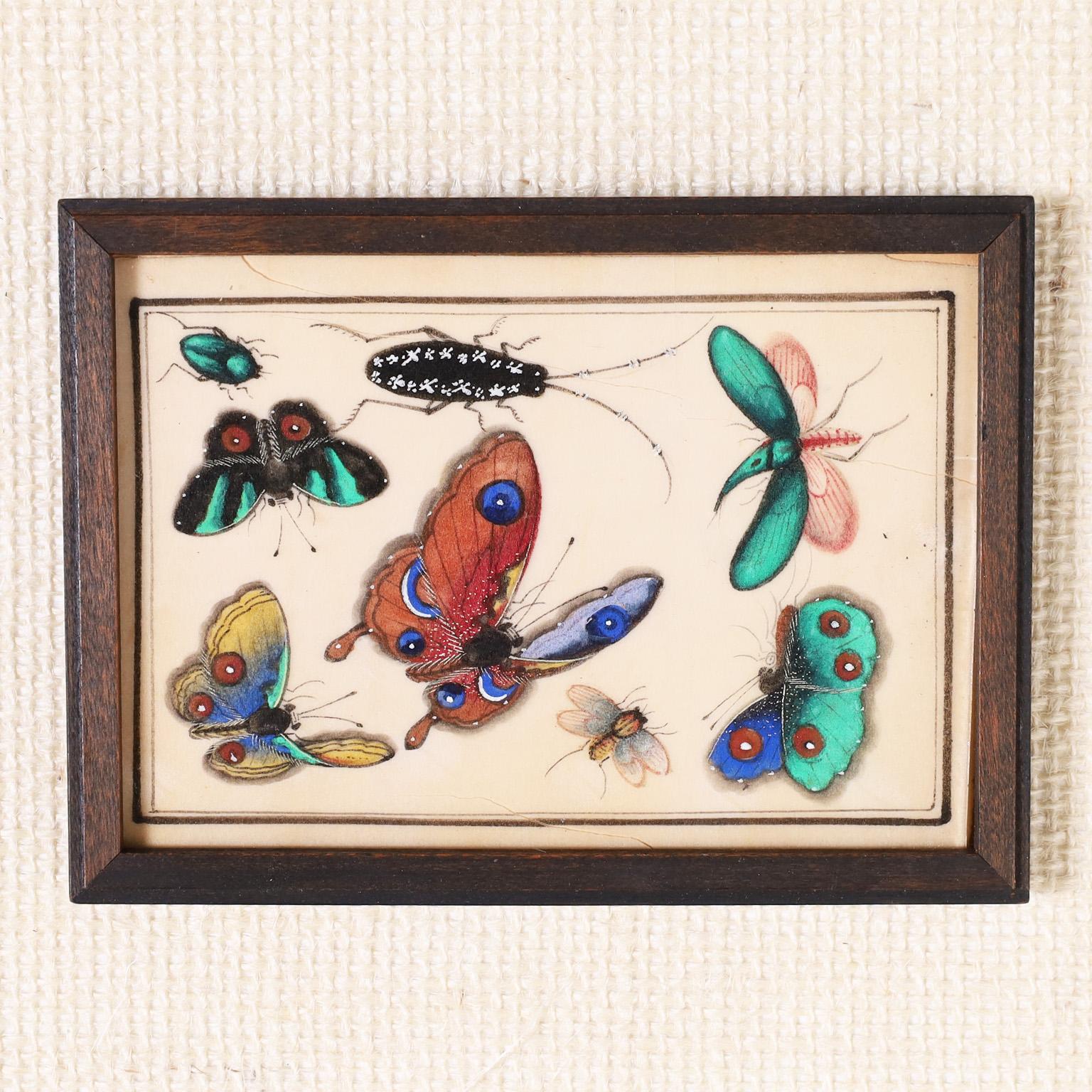 Paint Set of Twelve Chinese Watercolors on Pith Paper of Insects For Sale