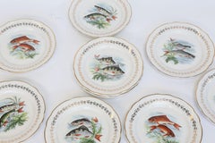 Ensemble de douze assiettes à poisson de Digoin et Sarreguemines