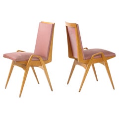 Set of Twelve Dining Chairs by Maurice Pré, France, 1950's