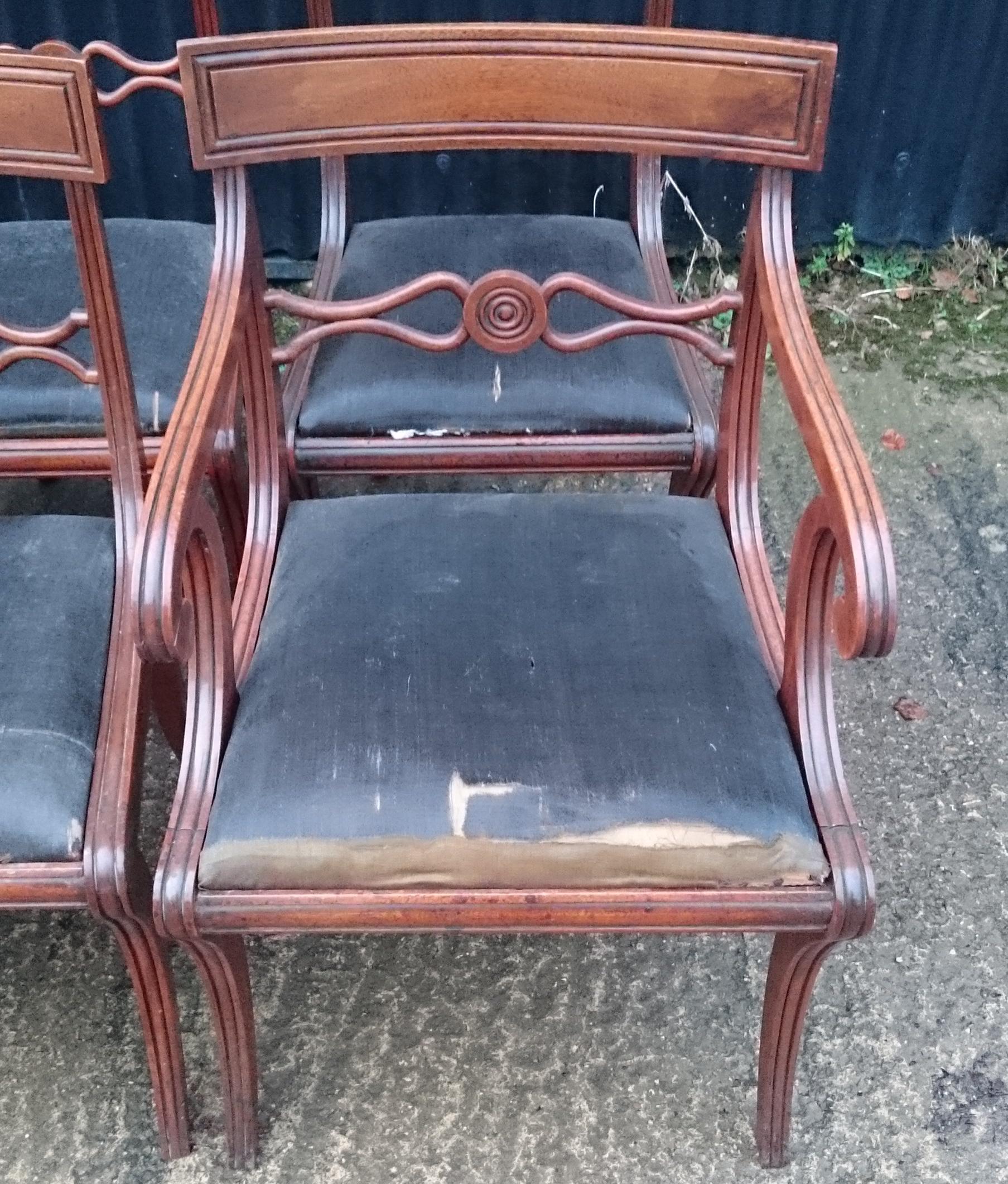 Set of Twelve Early 19th Century Regency Mahogany Antique Dining Chairs For Sale 5