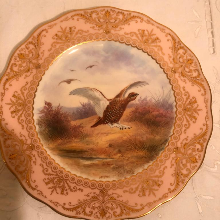 Late Victorian Set of Twelve English Cauldon Bird Plates, Each Painted Differently