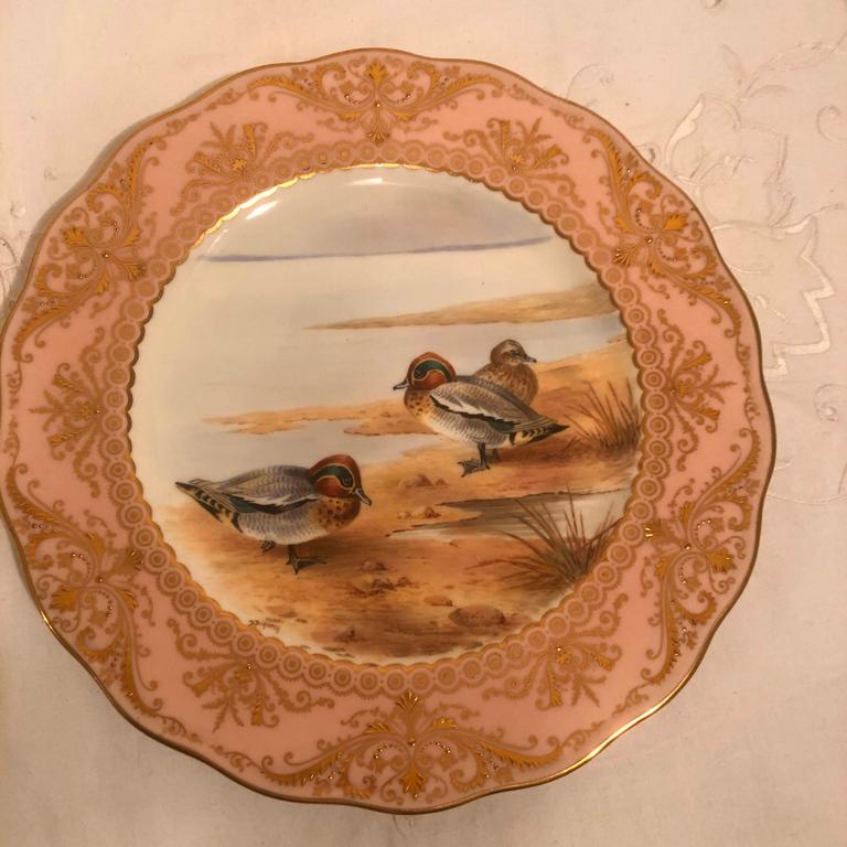 Set of Twelve English Cauldon Bird Plates, Each Painted Differently In Good Condition In Boston, MA