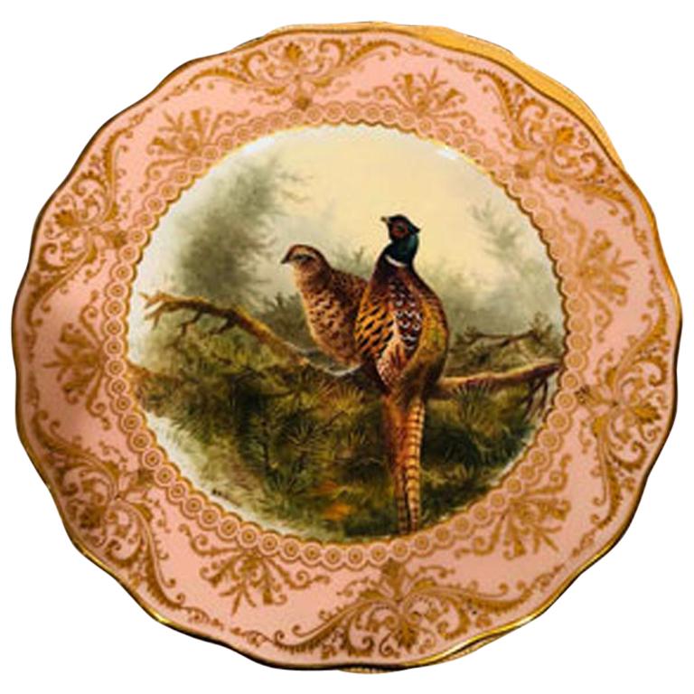 Set of Twelve English Cauldon Bird Plates, Each Painted Differently