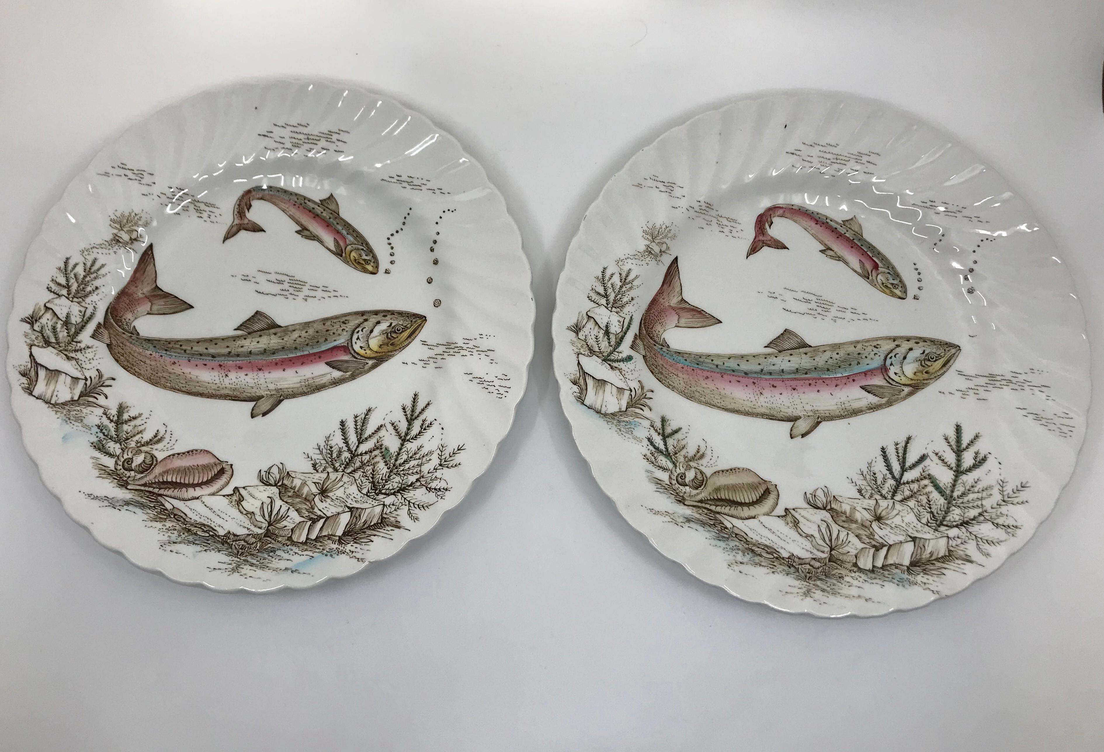 Satz von zwölf englischen Fischtellern. Zwölf Tafeln mit verschiedenen Süßwasserfischen von den Britischen Inseln. Das montierte Set enthält
3 Schleien, 3 Lachse, 2 Rotaugen, 2 Döbel, 2 Barsche. Britische Ankermarkierungen und Fischbeschreibung