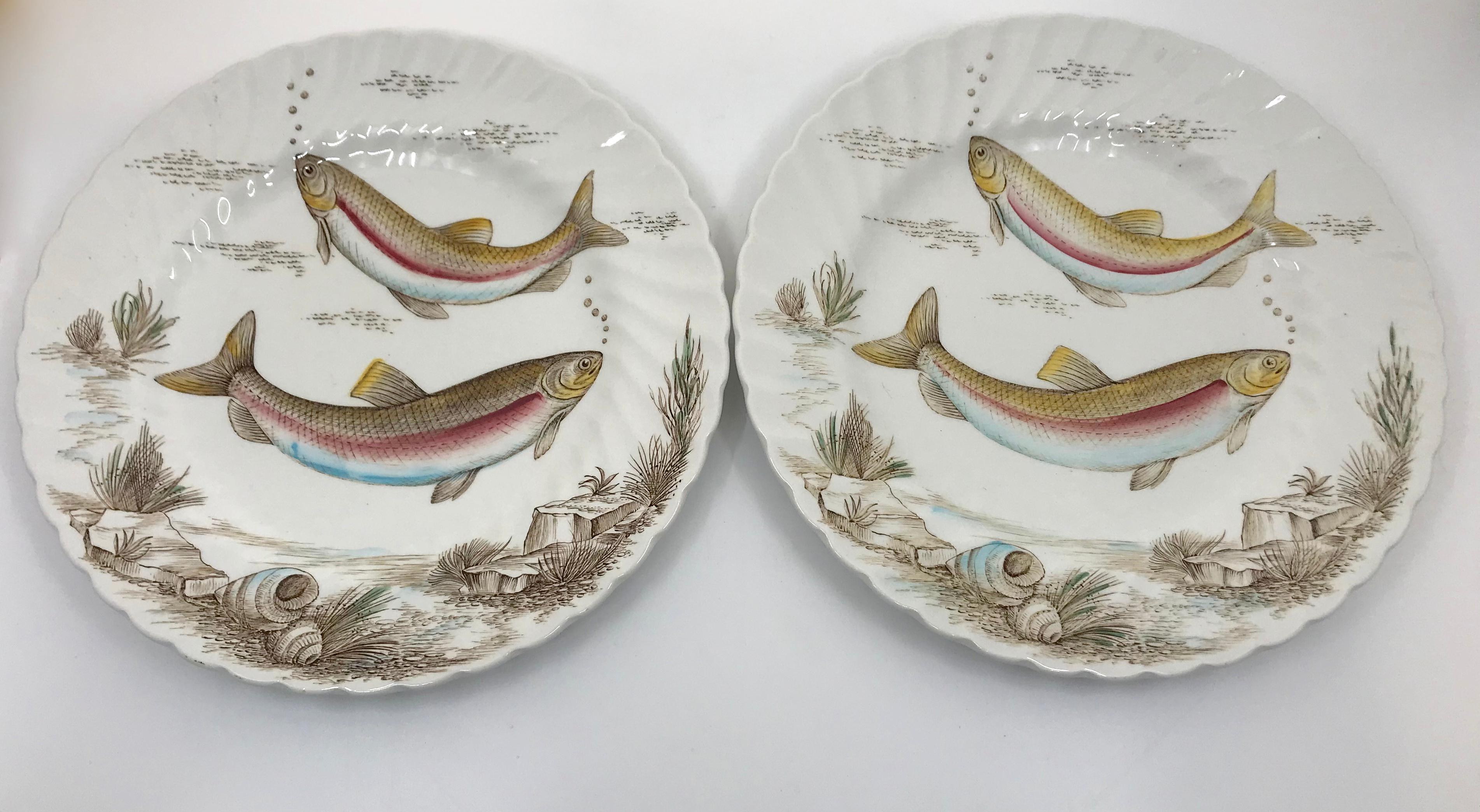 Set of Twelve English Fish Plates In Good Condition For Sale In New York, NY