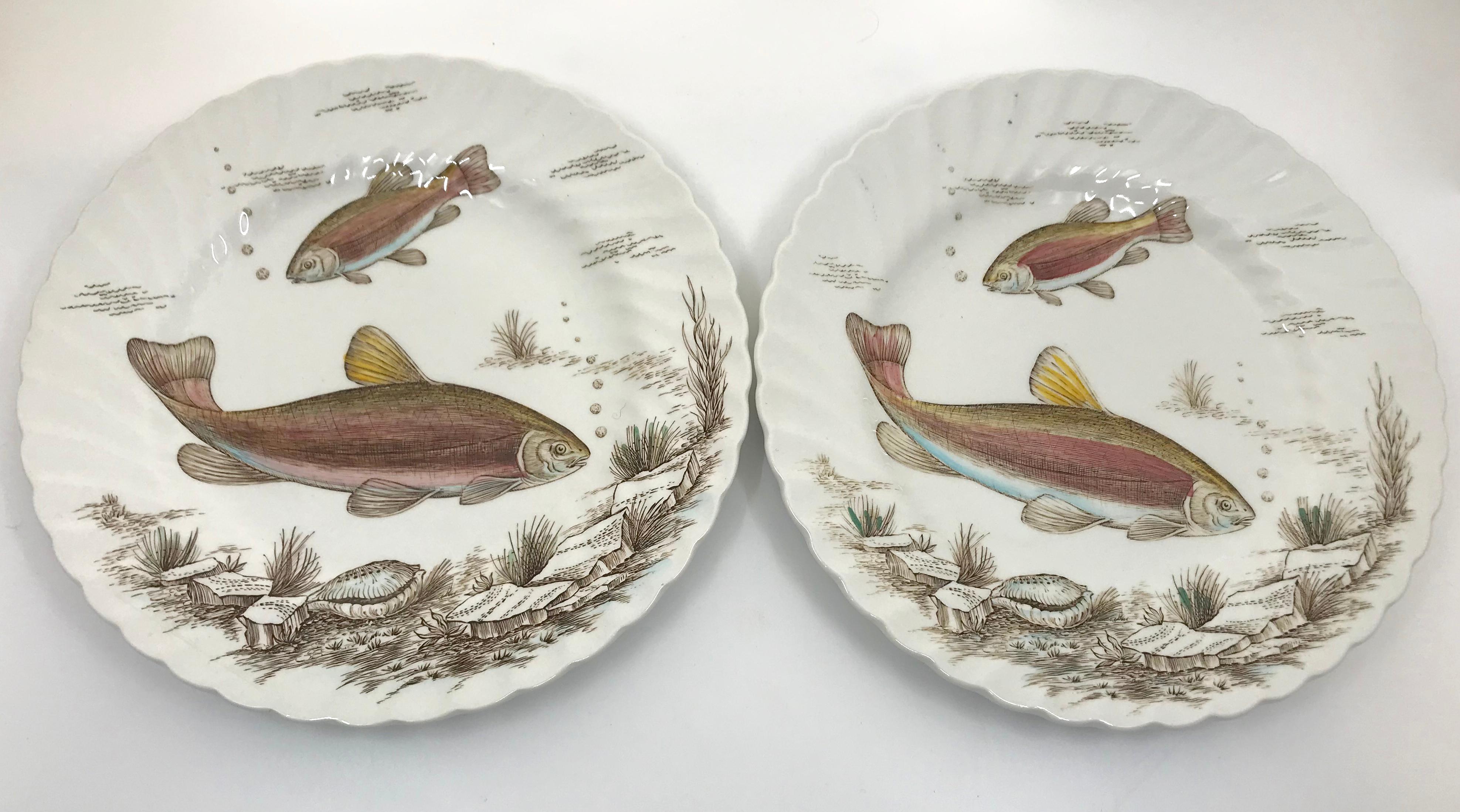 Set von zwölf englischen Fischtellern (20. Jahrhundert) im Angebot