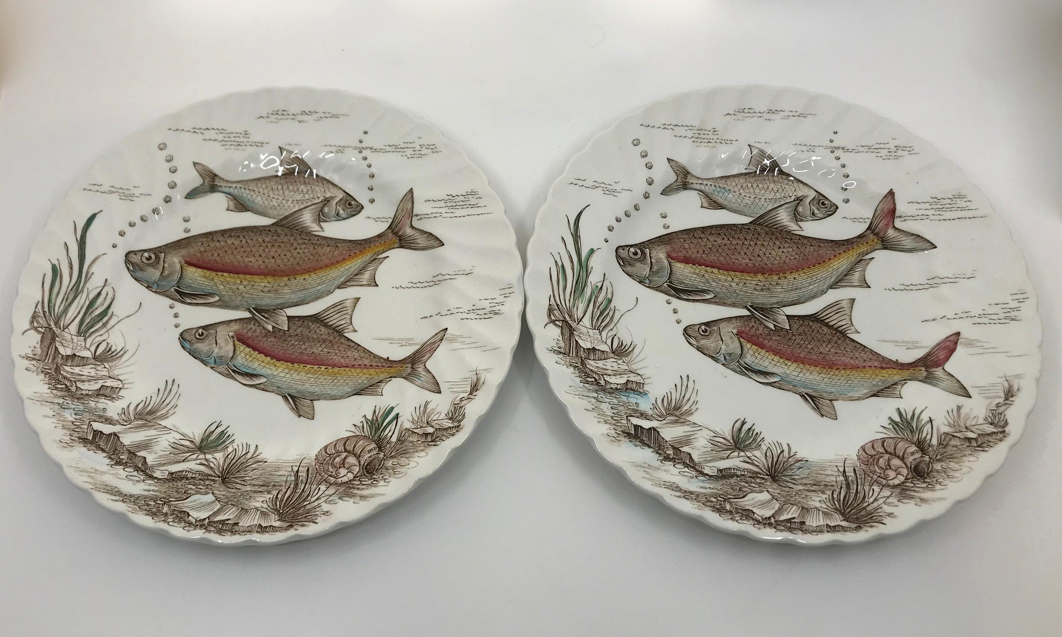 Ceramic Set of Twelve English Fish Plates For Sale