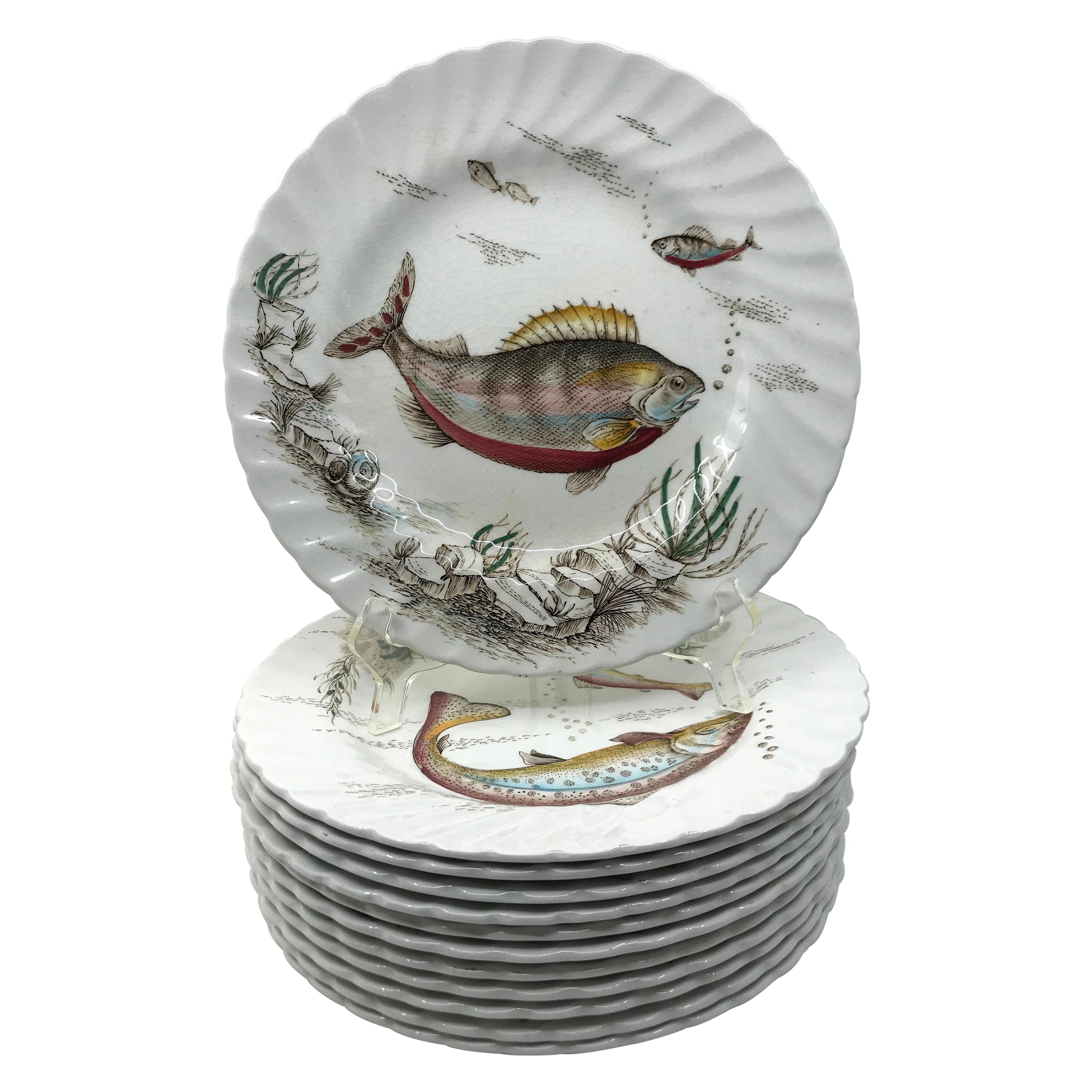 Set of Twelve English Fish Plates For Sale